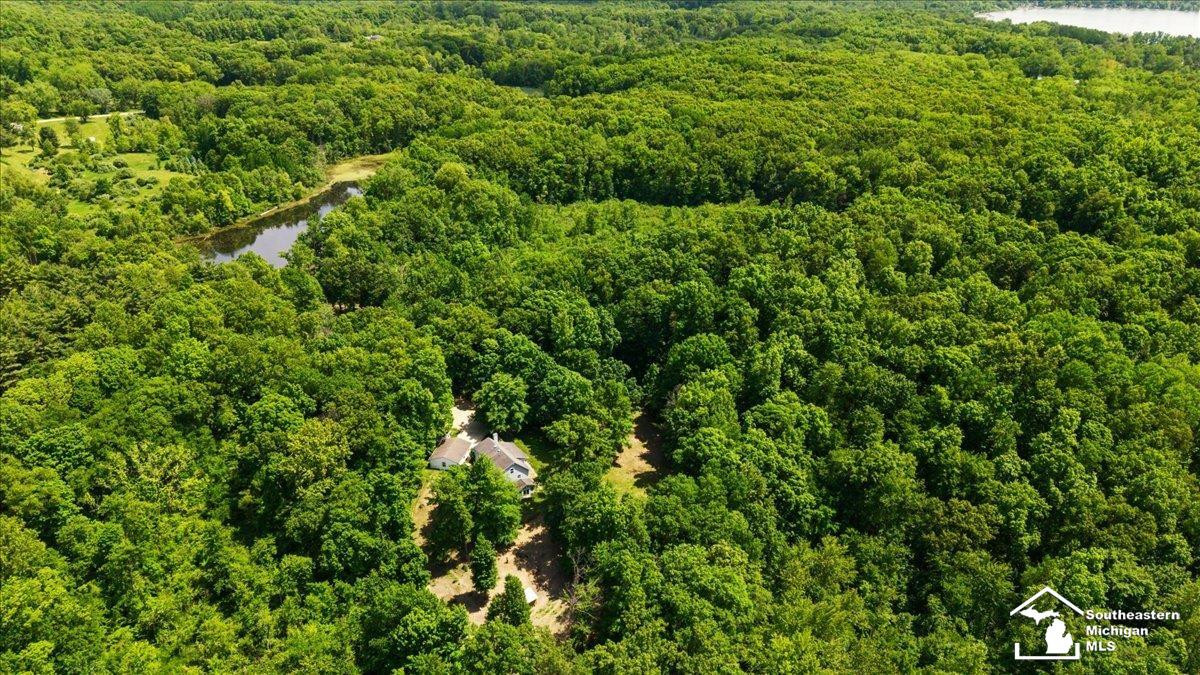 14297 Hickory Hill Drive, Manitou Beach, MI 49253 — Photo 62