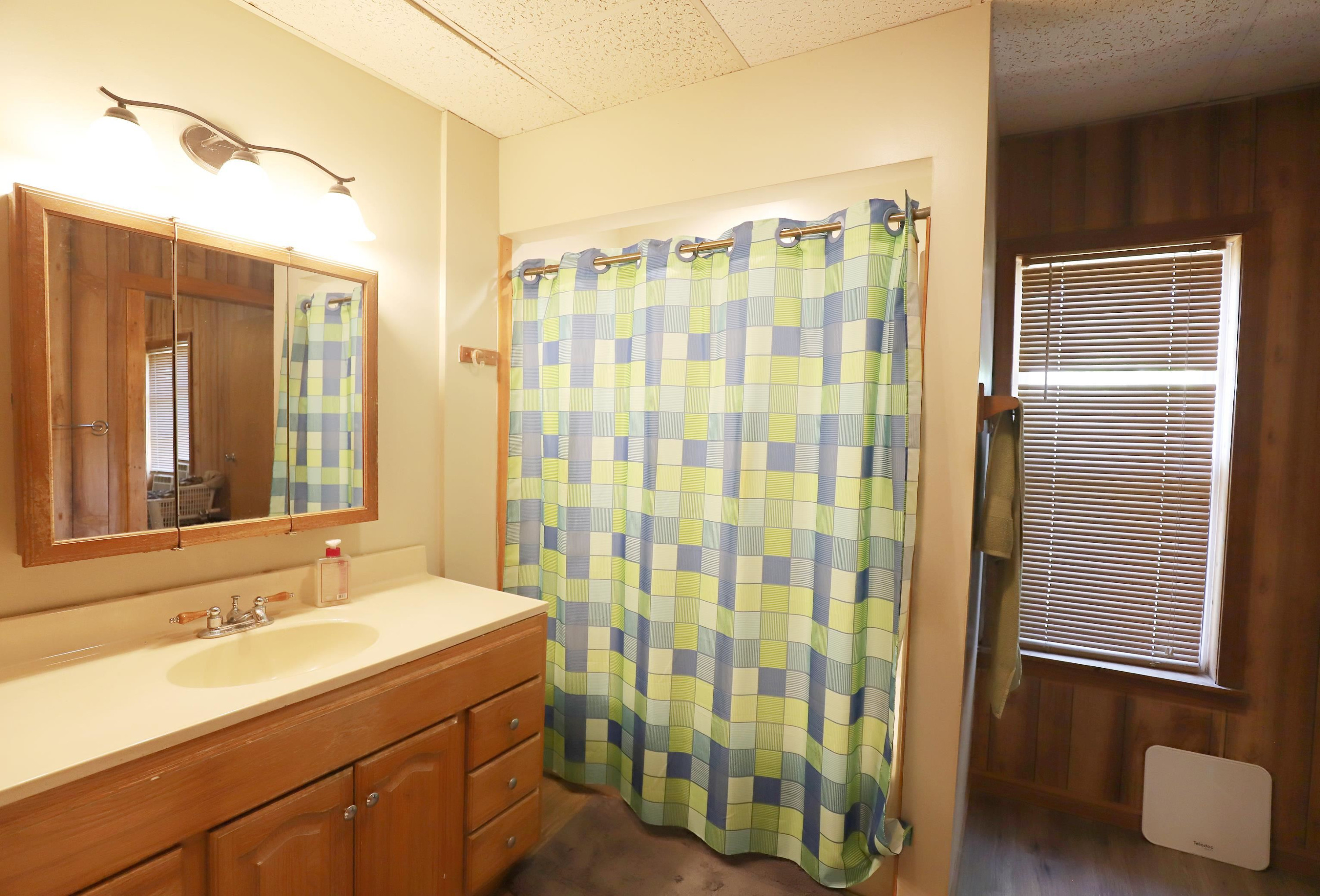 401 S Main Street, Chesaning, MI 48616 — Photo 11