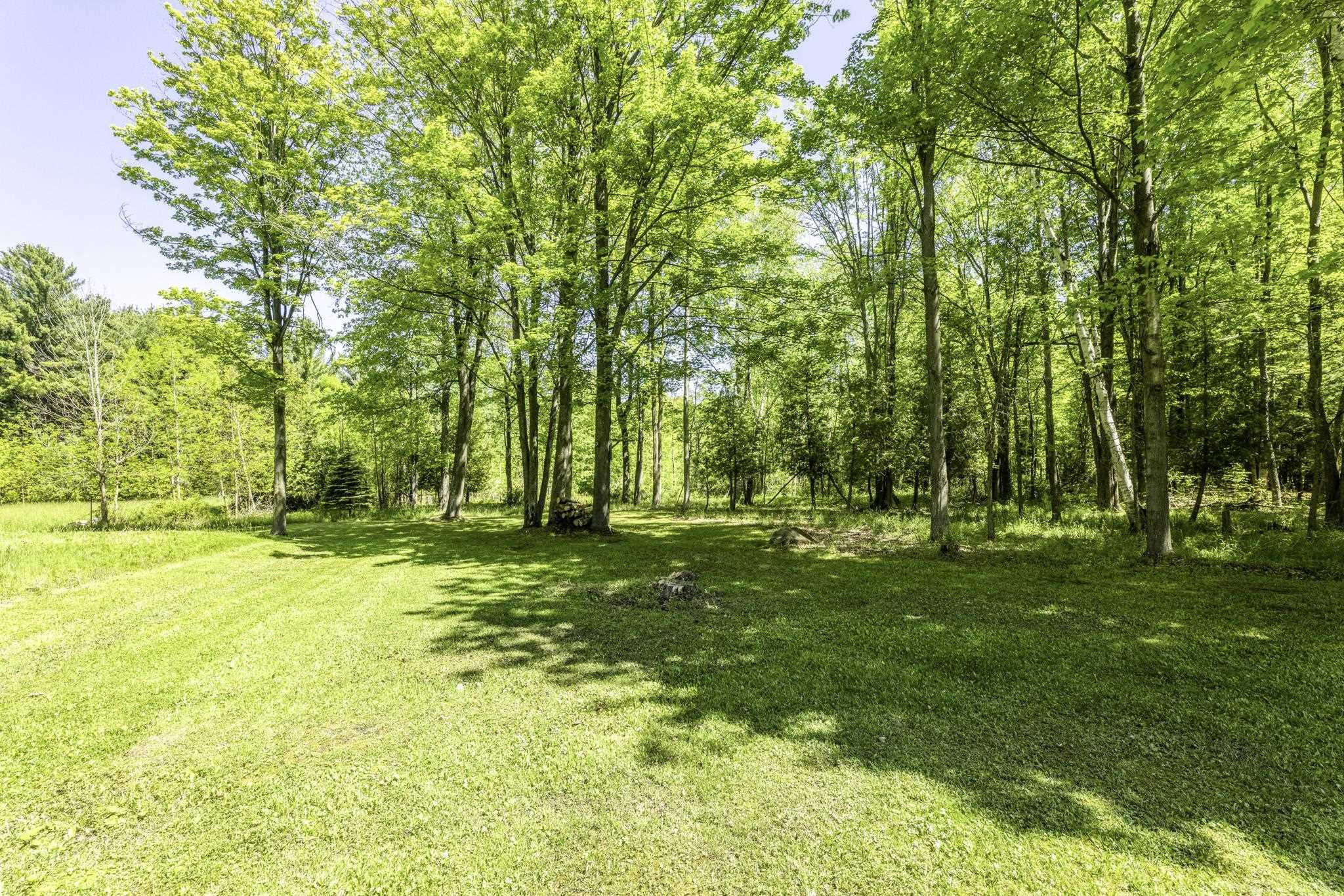 6865 Custer Road, Port Sanilac, MI 48469 — Photo 61