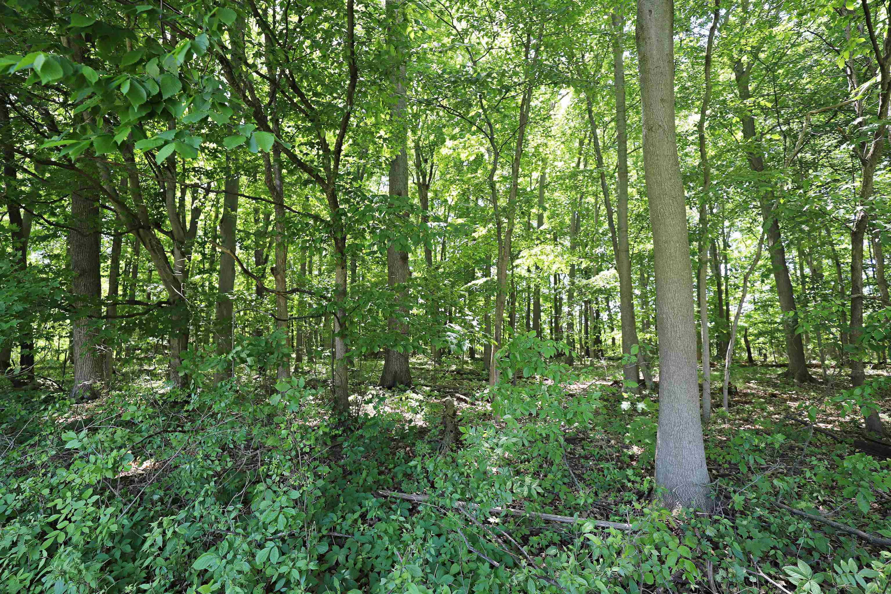 6285 Chicago Road, Flushing, MI 48433 — Photo 35
