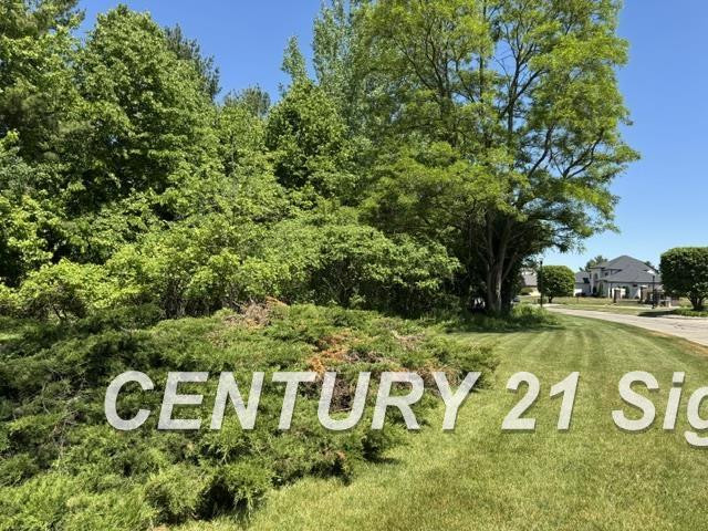 0 Sawmill Boulevard, Saginaw, MI 48603 — Photo 6