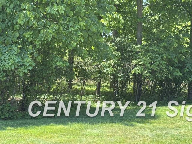 0 Sawmill Boulevard, Saginaw, MI 48603 — Photo 8