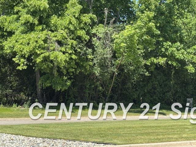 0 Sawmill Boulevard, Saginaw, MI 48603 — Photo 11