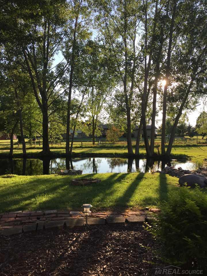 13775 mesmer Road, Allenton, MI 48002 — Photo 11