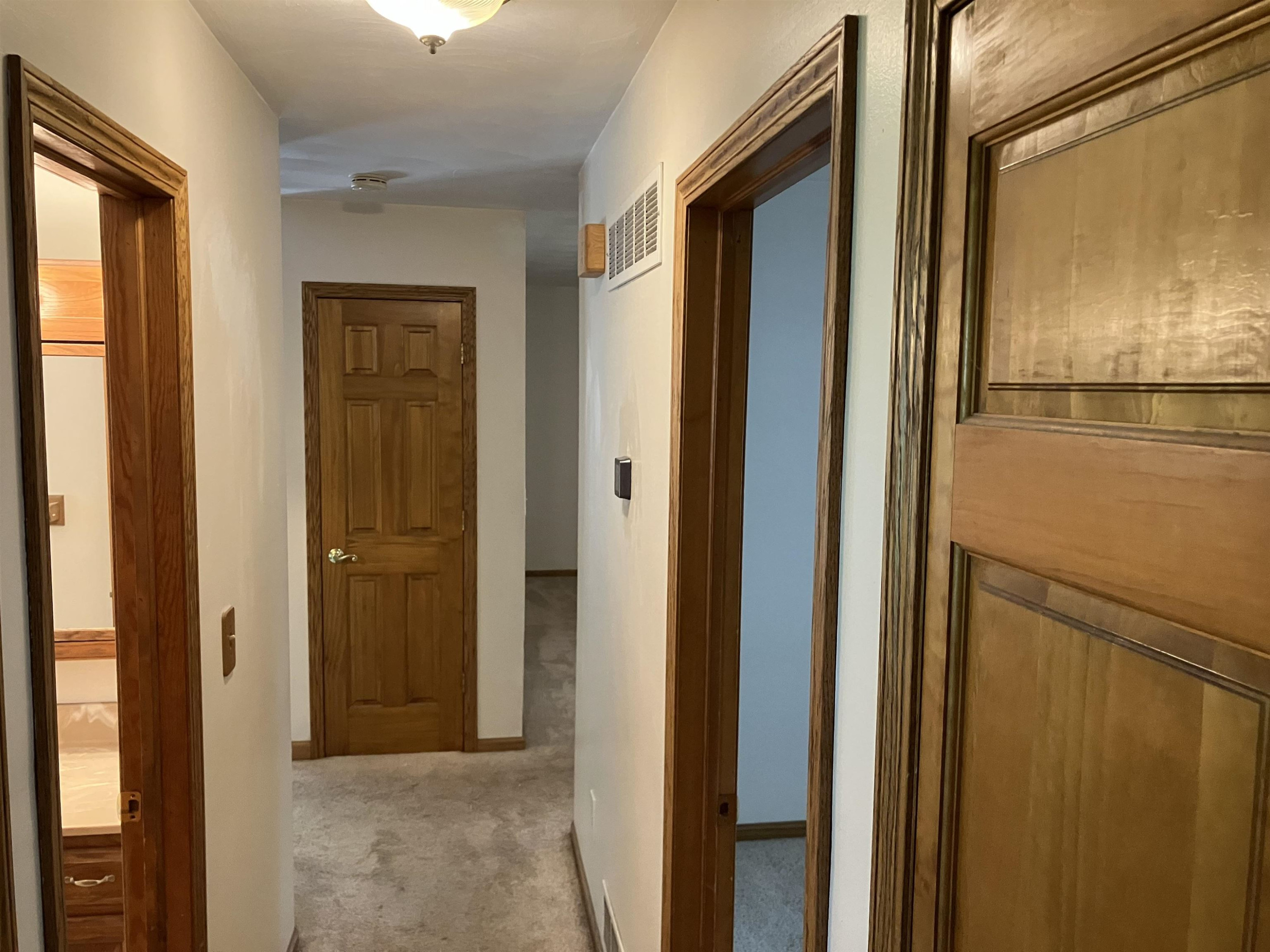 3201 Norwich Road, Lansing, MI 48911 — Photo 14
