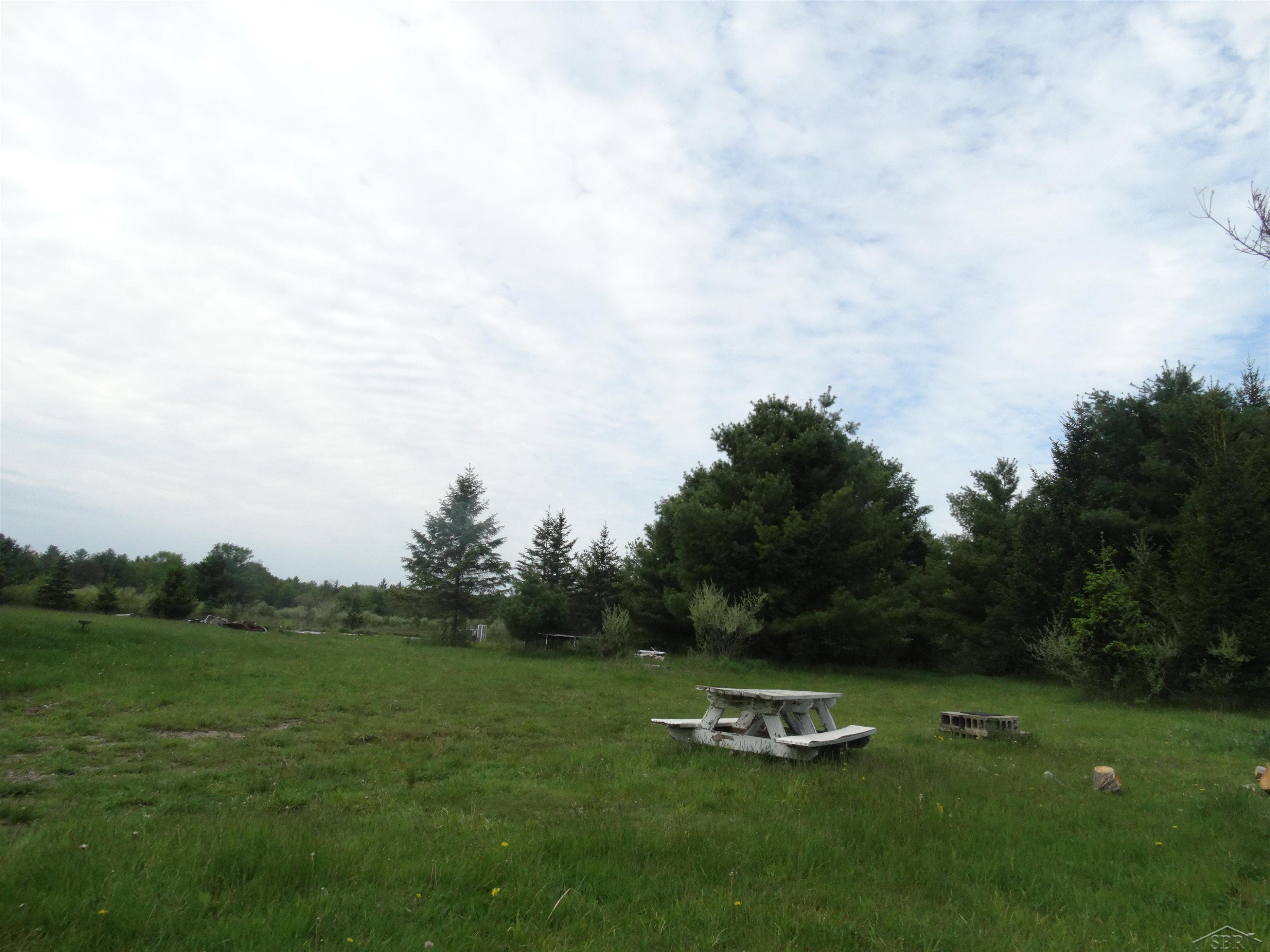 350 Fire Road, Omer, MI 48766 — Photo 2