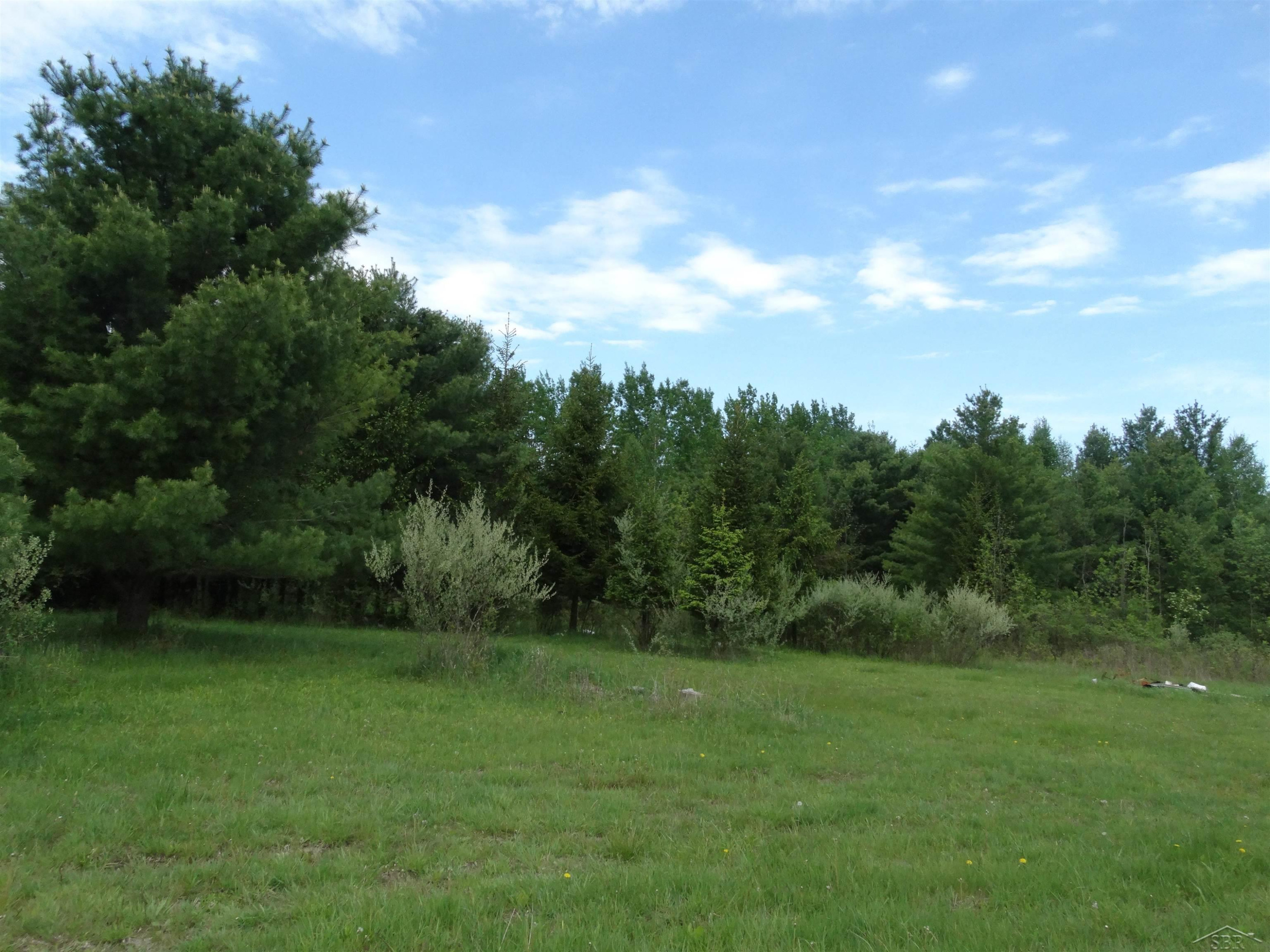 350 Fire Road, Omer, MI 48766 — Photo 5
