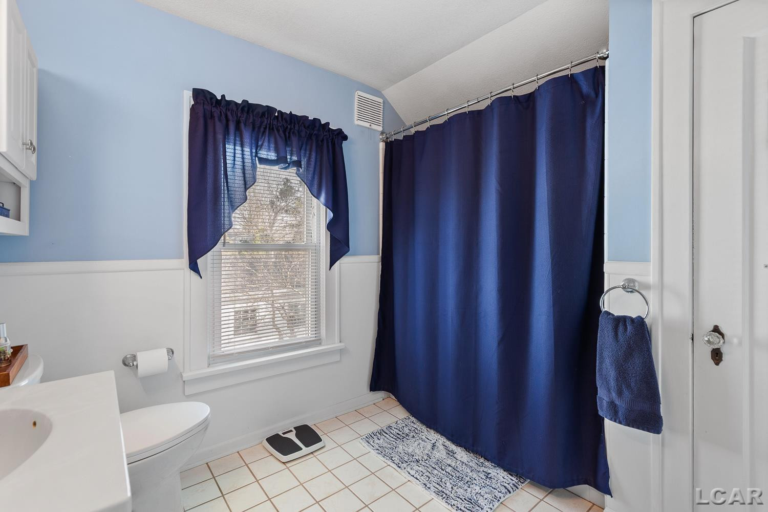 925 Lincoln Avenue, Adrian, MI 49221 — Photo 25
