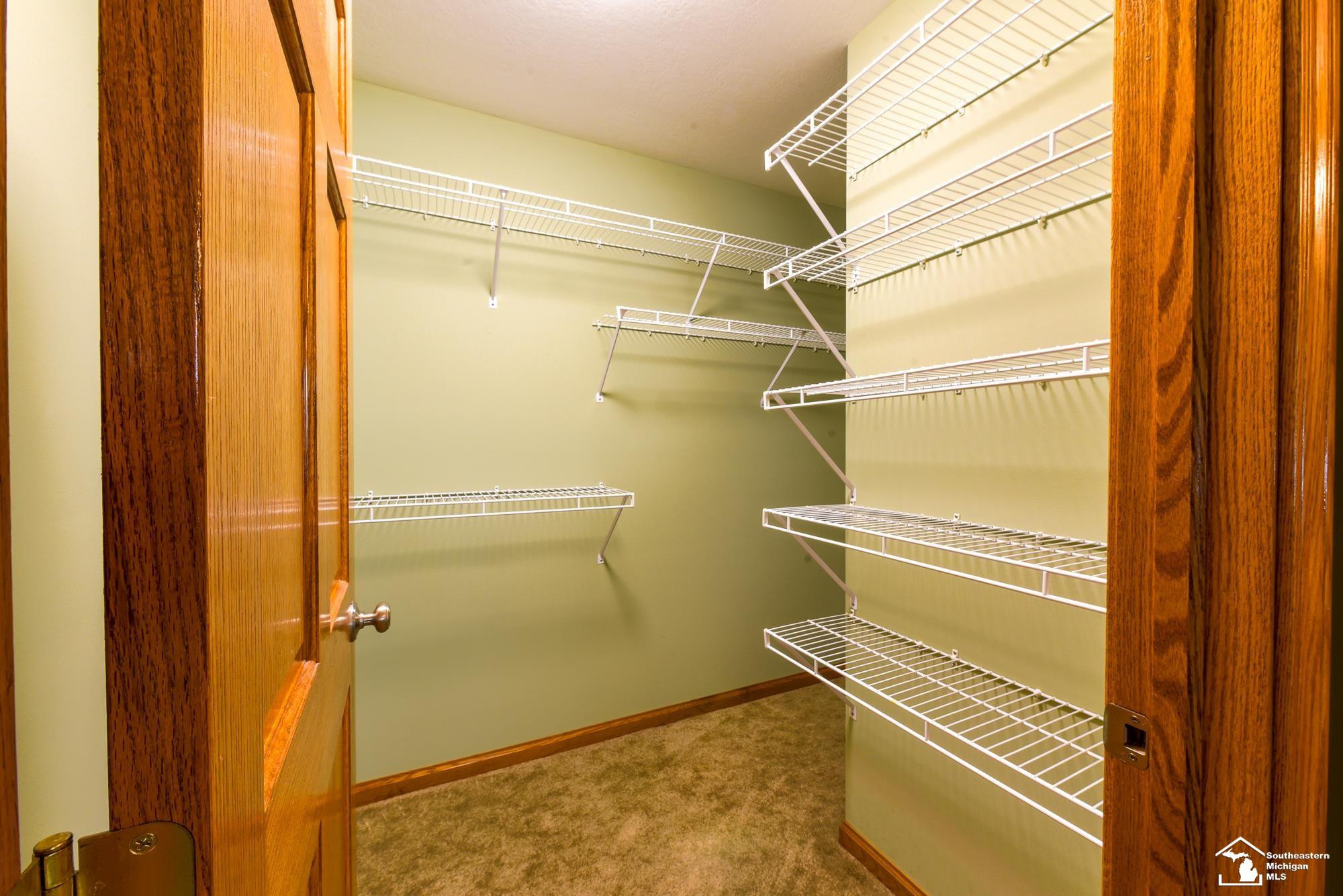 860 Plank Street, Dundee, MI 48131 — Photo 37