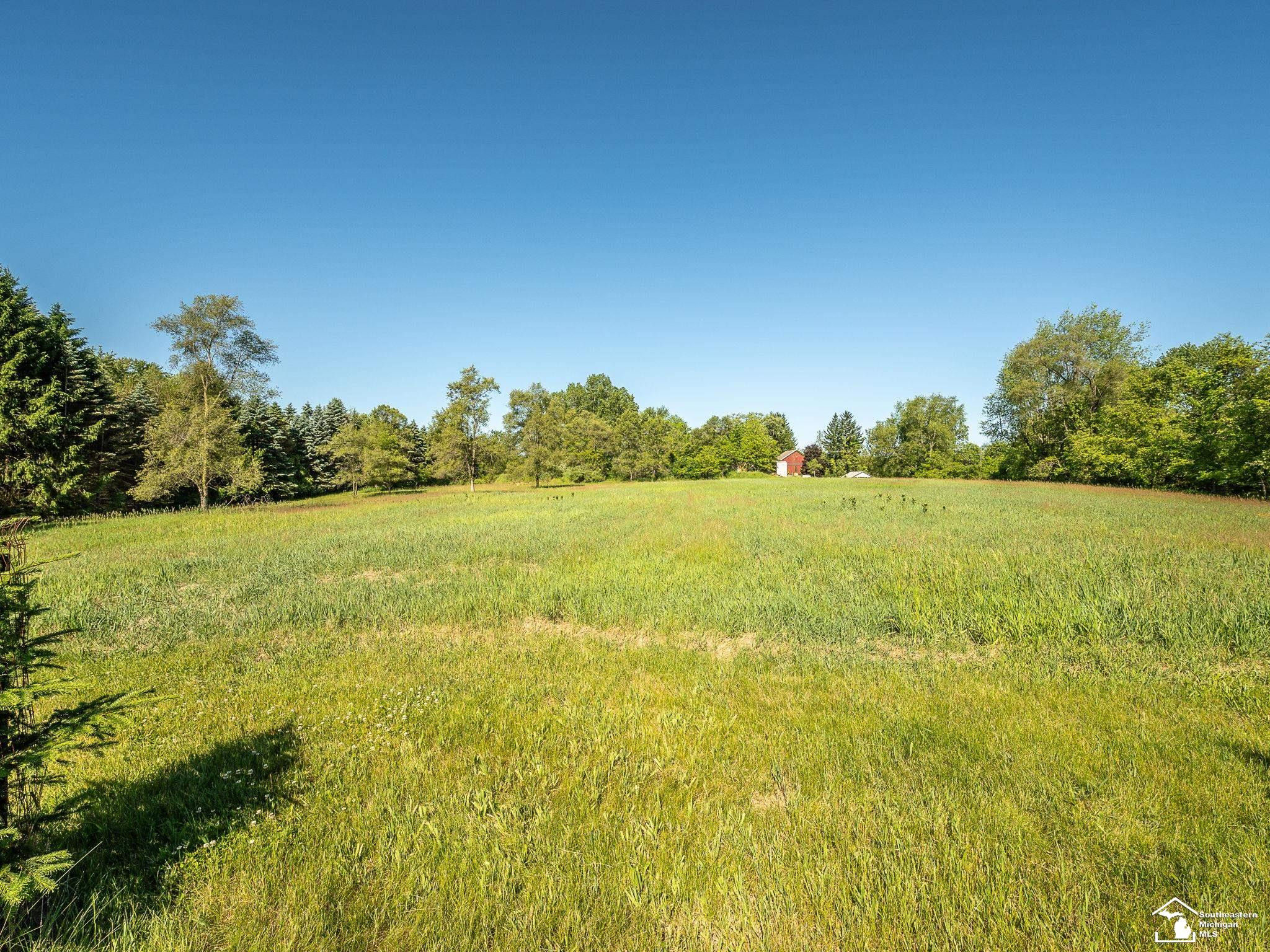 123 S Freer Road, Chelsea, MI 48118 — Photo 55