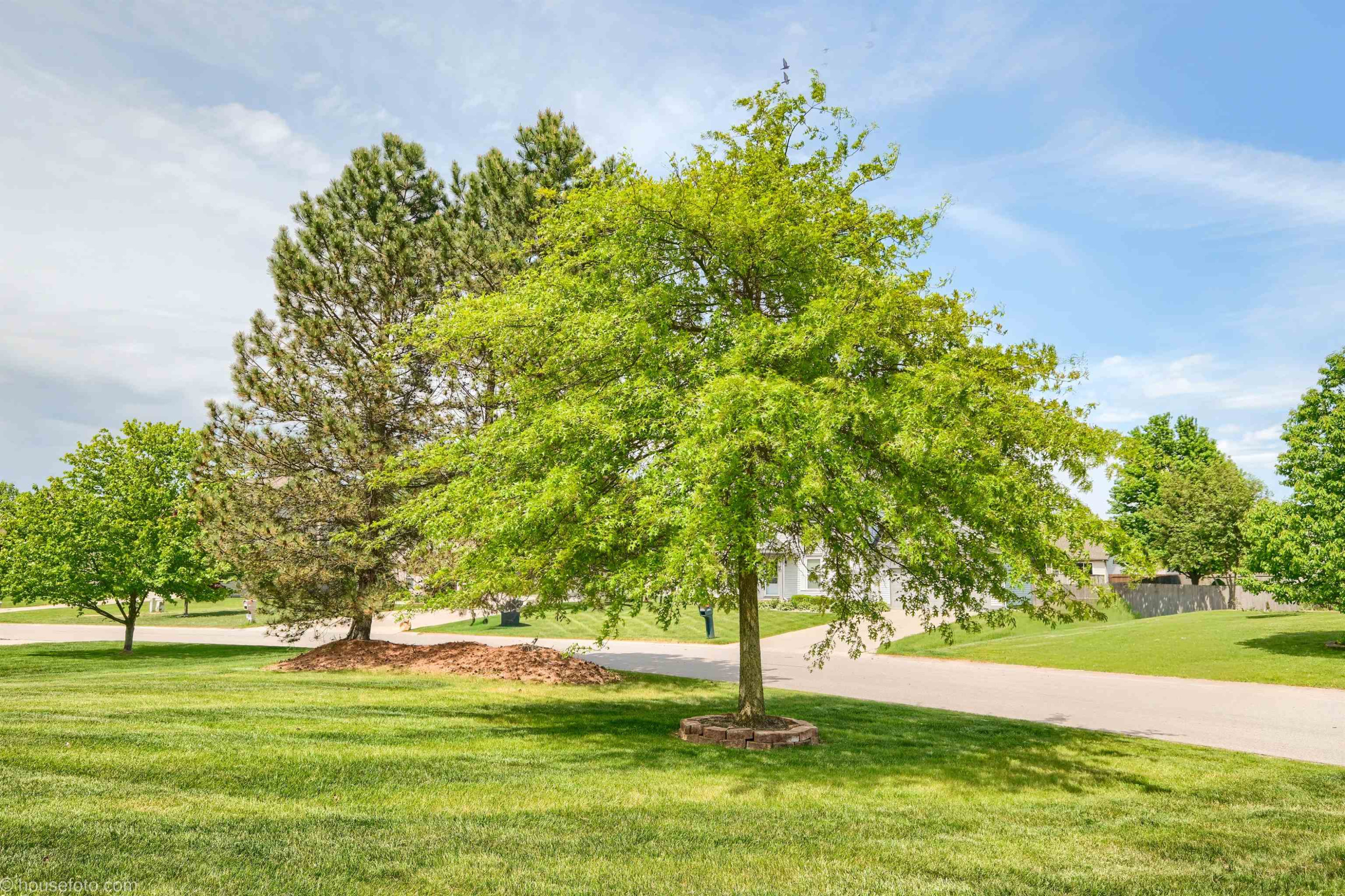 4211 Maplewood Meadows Avenue Avenue, Grand Blanc, MI 48439 — Photo 35