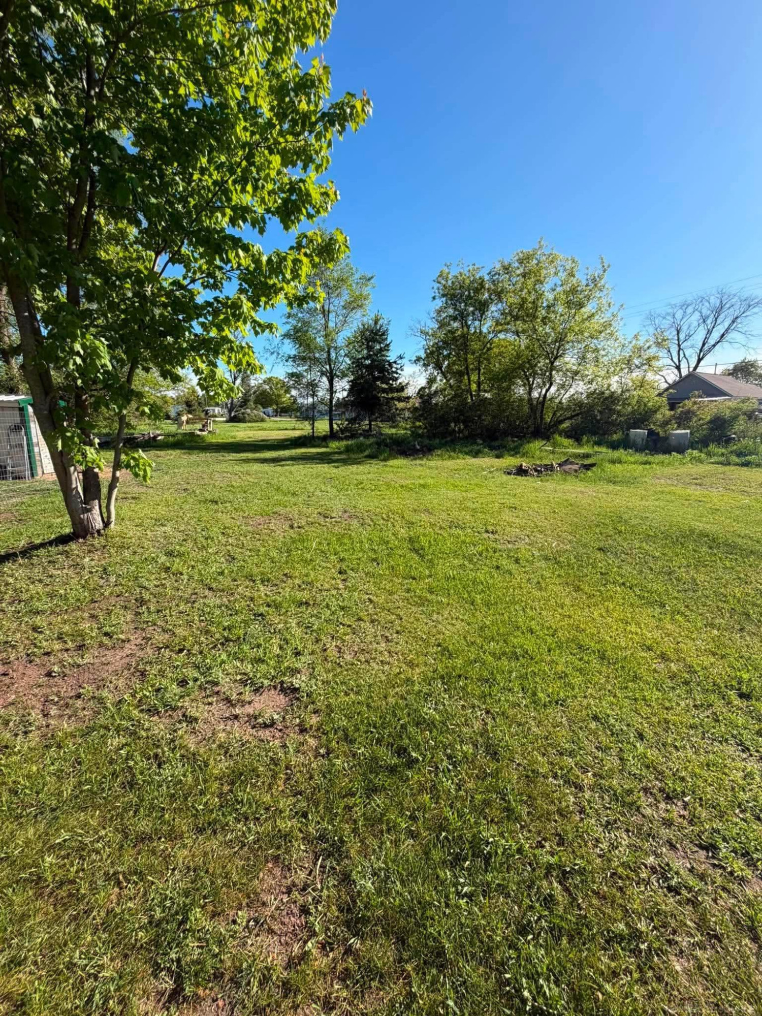 800 Wabash Avenue, Mancelona, MI 49659 — Photo 6