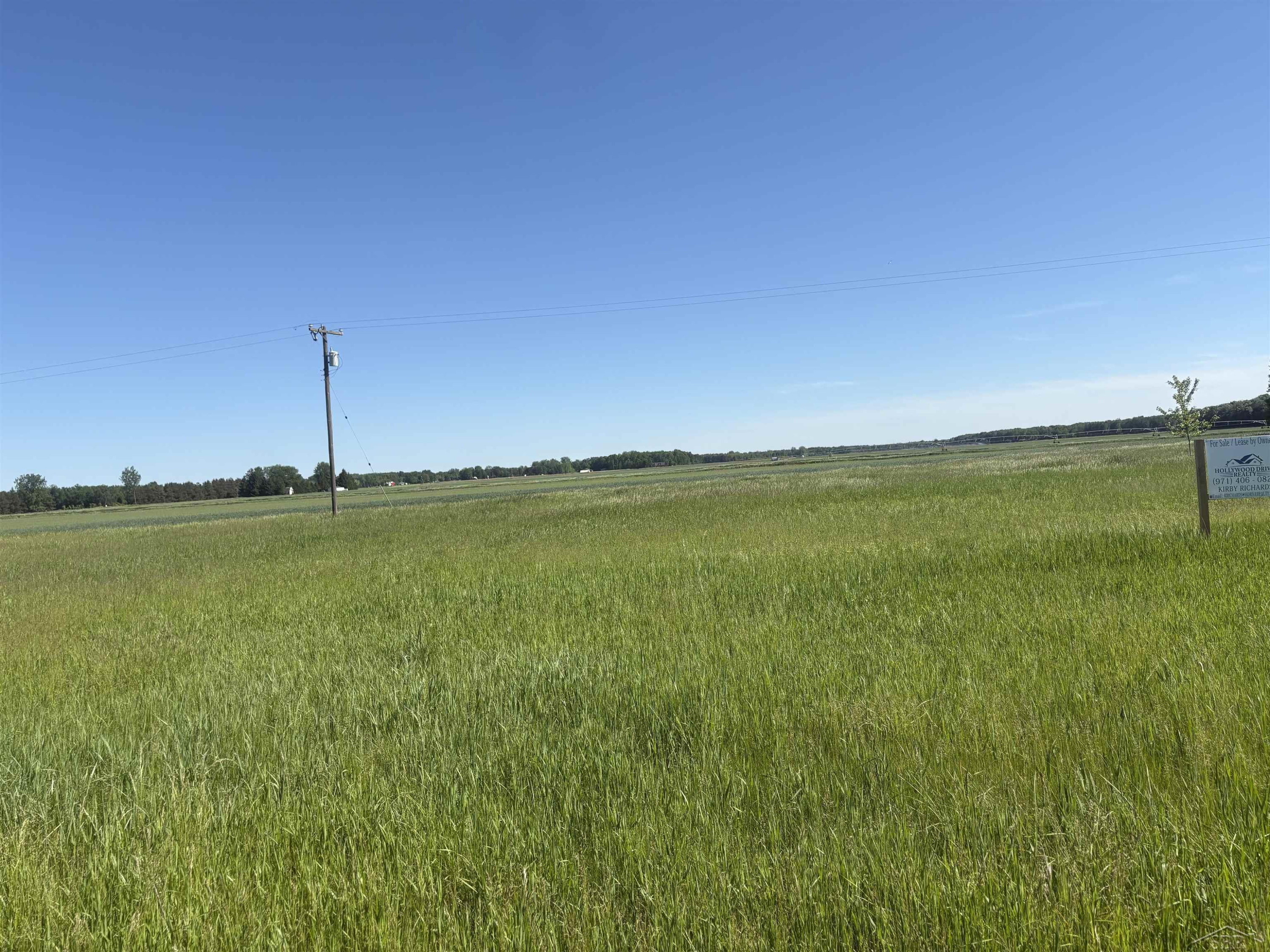 0 Swan Creek Road, Hemlock, MI 48626 — Photo 2