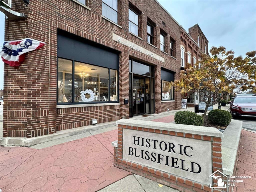 101 S Lane Street, Blissfield, MI 49228