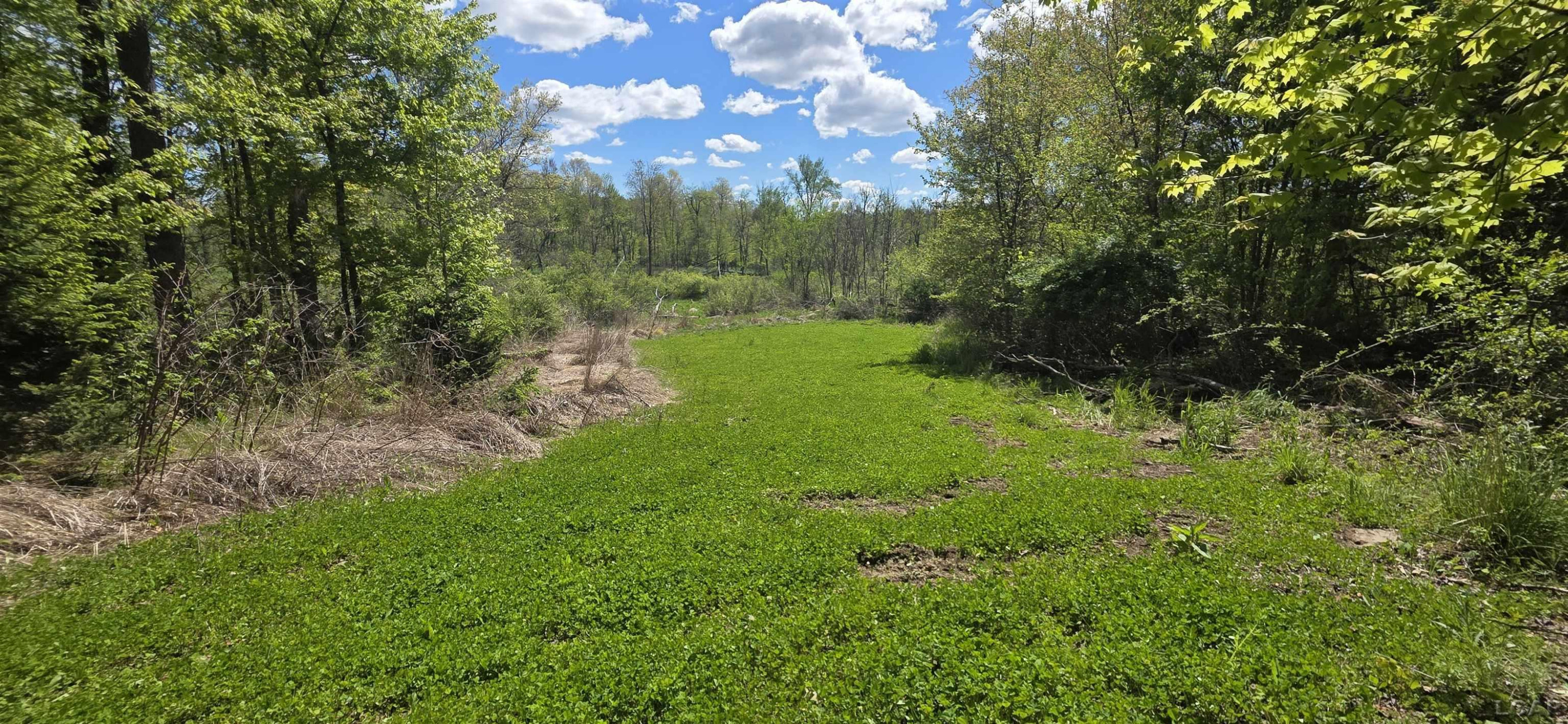 15252 27 Mile Road, Albion, MI 49224 — Photo 2