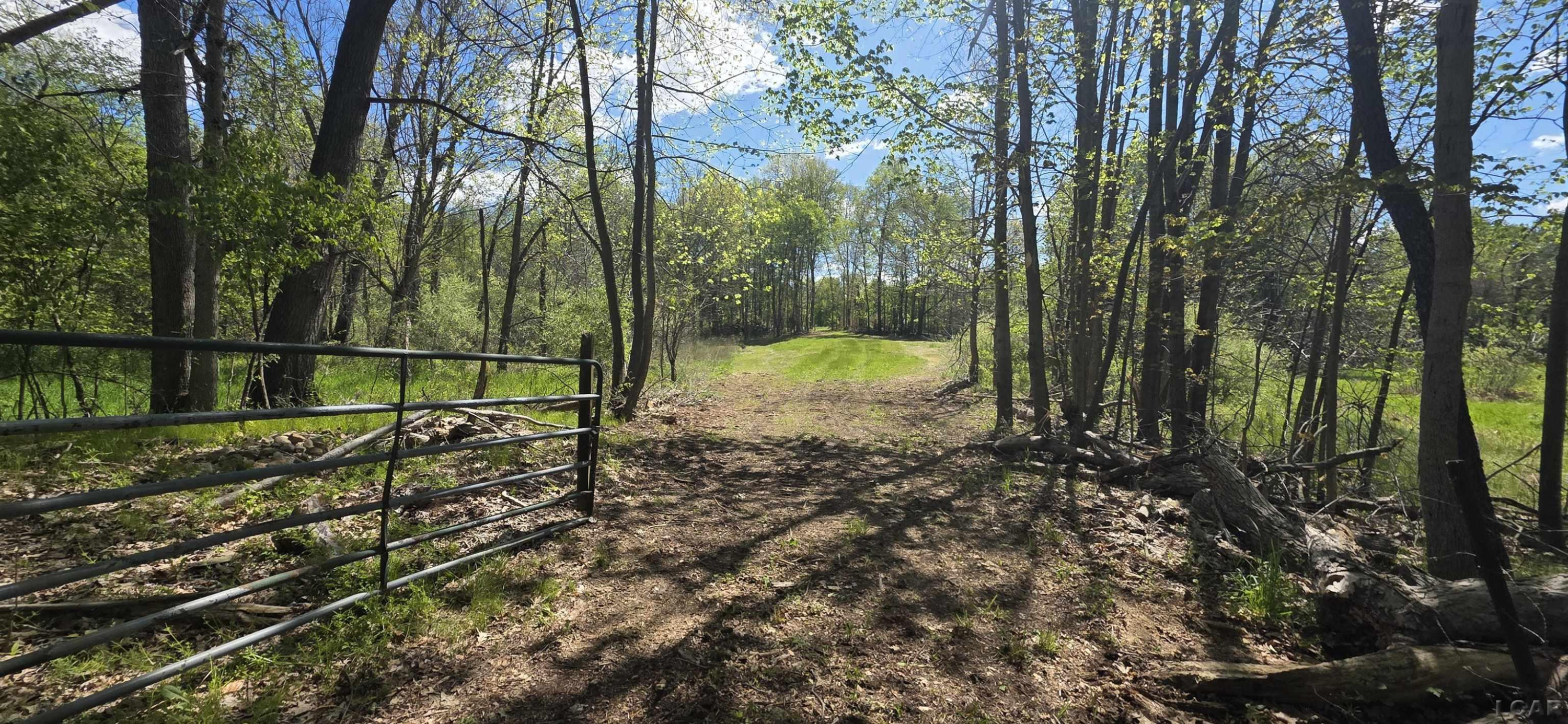 15252 27 Mile Road, Albion, MI 49224 — Photo 4