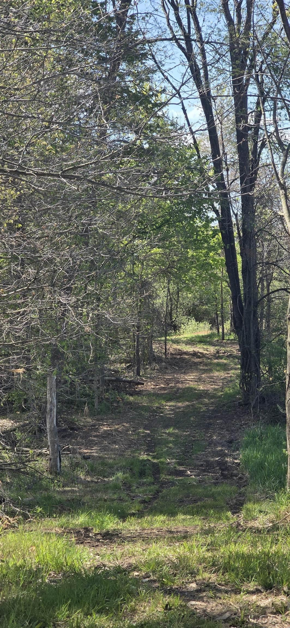 15252 27 Mile Road, Albion, MI 49224 — Photo 7