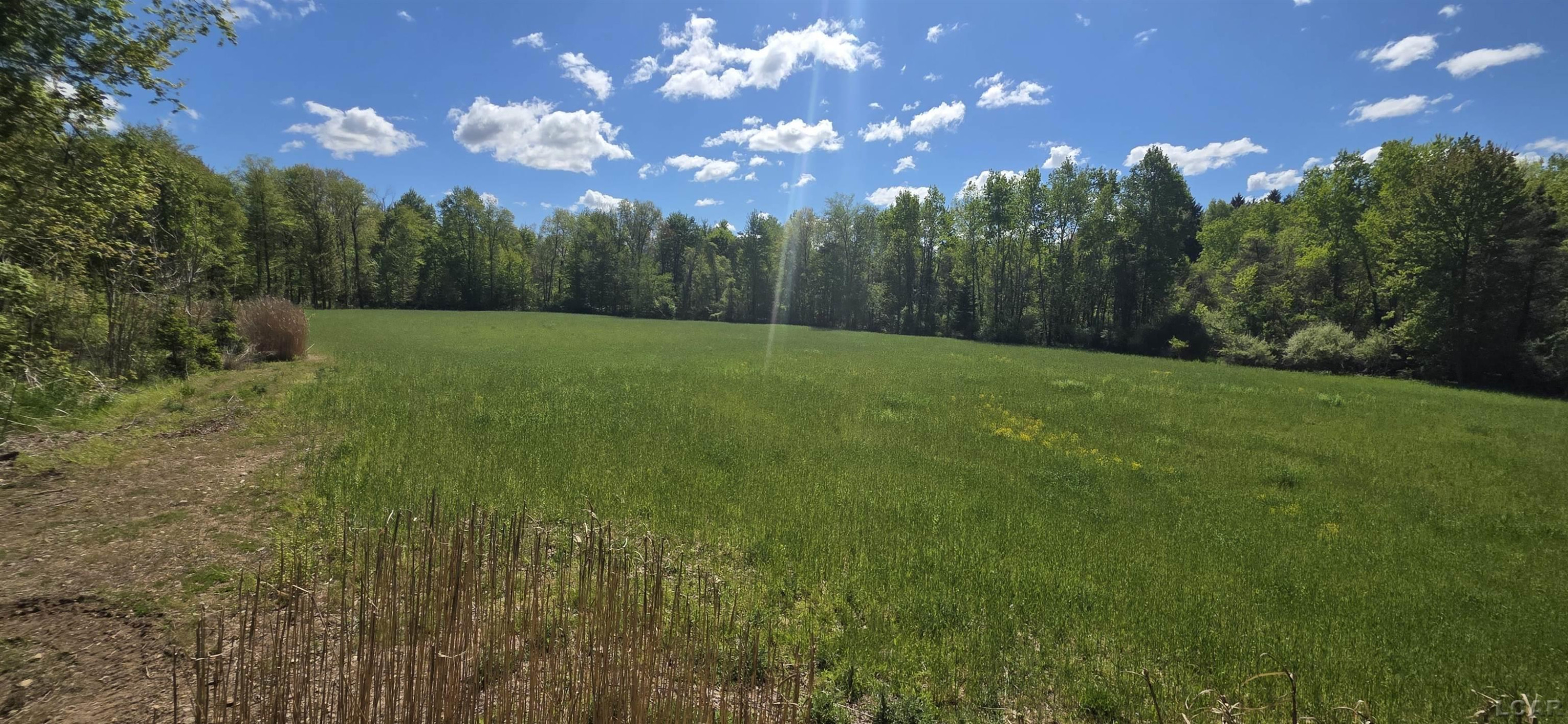 15252 27 Mile Road, Albion, MI 49224 — Photo 10