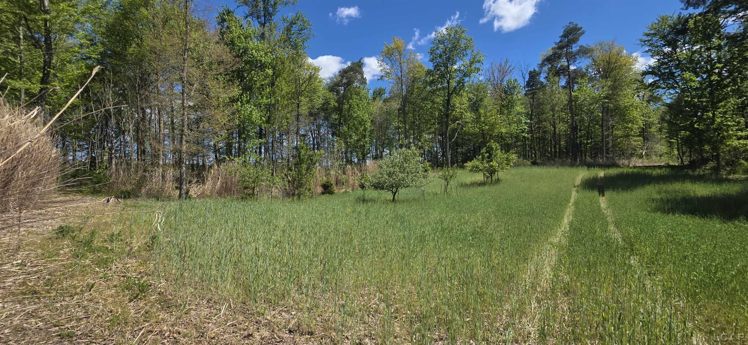 15252 27 Mile Road, Albion, MI 49224 — Photo 11