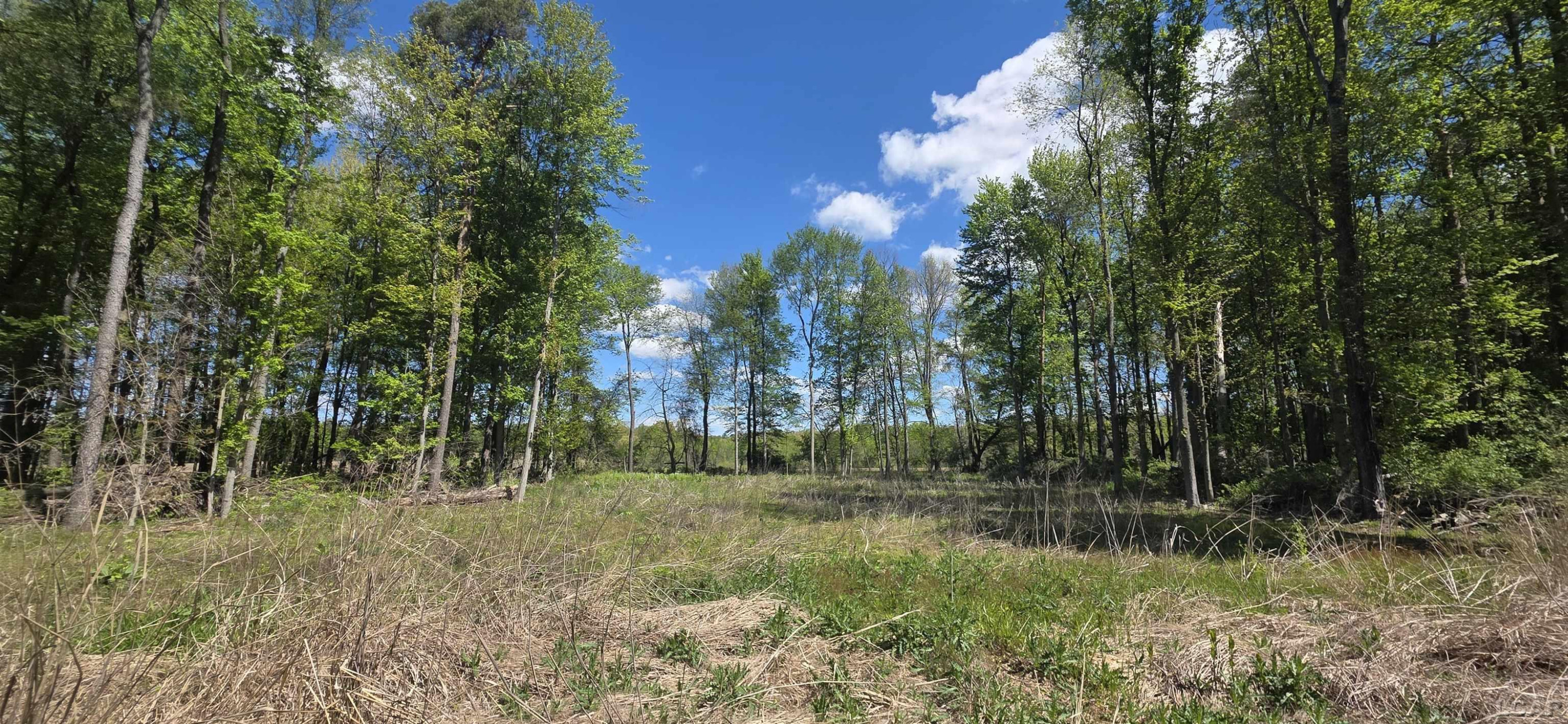 15252 27 Mile Road, Albion, MI 49224 — Photo 14