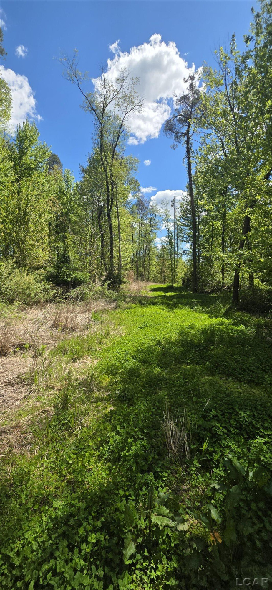 15252 27 Mile Road, Albion, MI 49224 — Photo 15