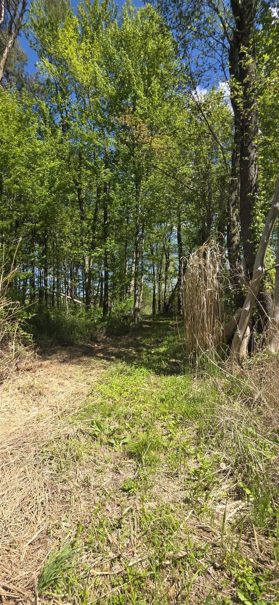 15252 27 Mile Road, Albion, MI 49224 — Photo 16