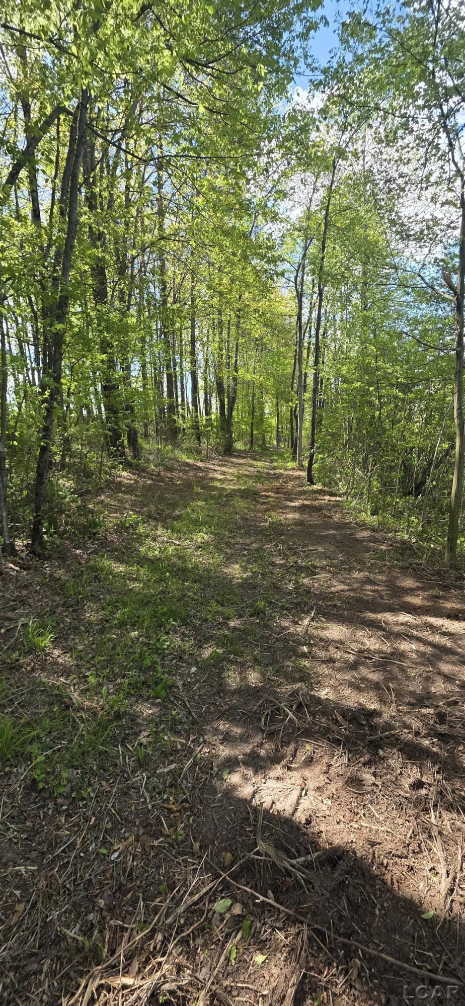 15252 27 Mile Road, Albion, MI 49224 — Photo 17