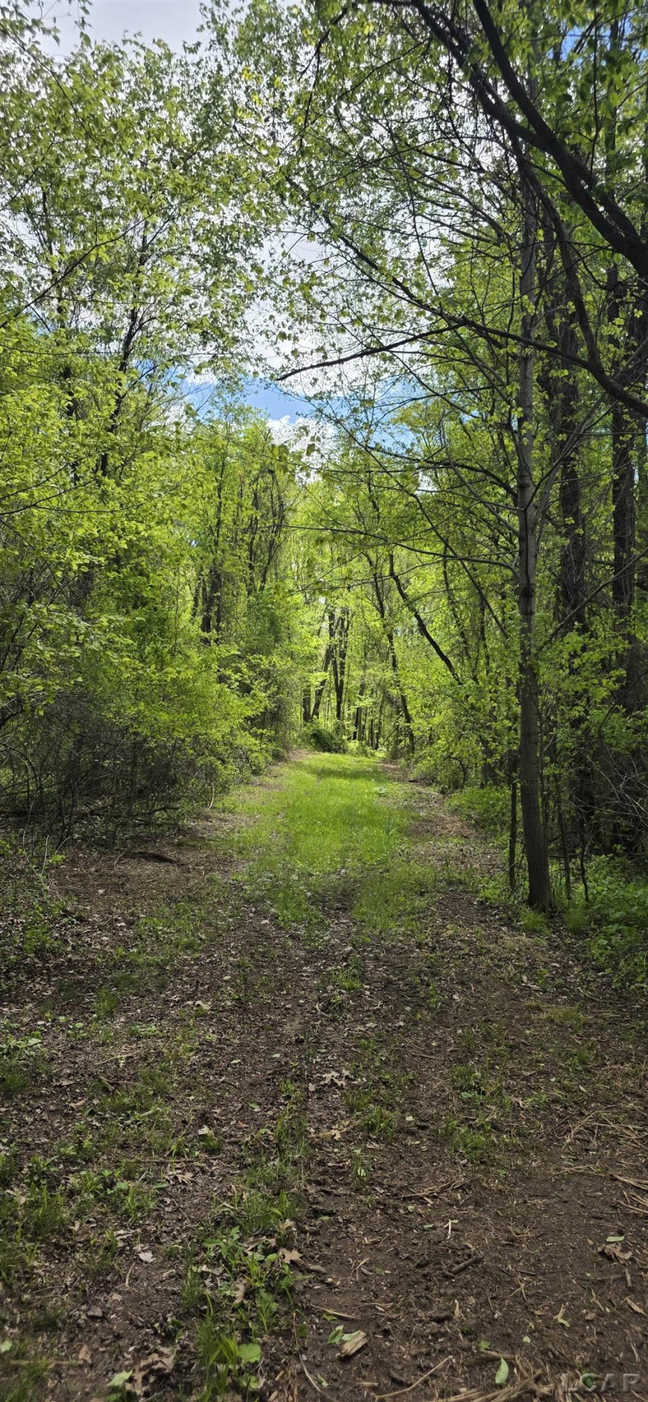 15252 27 Mile Road, Albion, MI 49224 — Photo 18