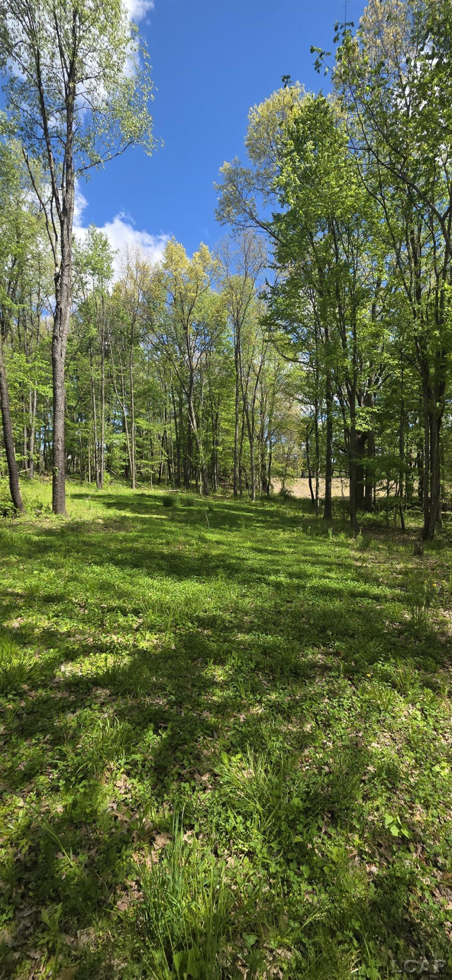 15252 27 Mile Road, Albion, MI 49224 — Photo 19