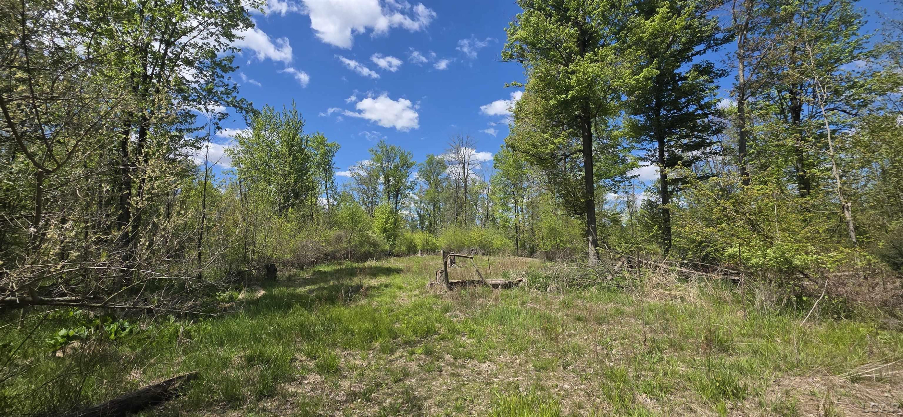 15252 27 Mile Road, Albion, MI 49224 — Photo 20