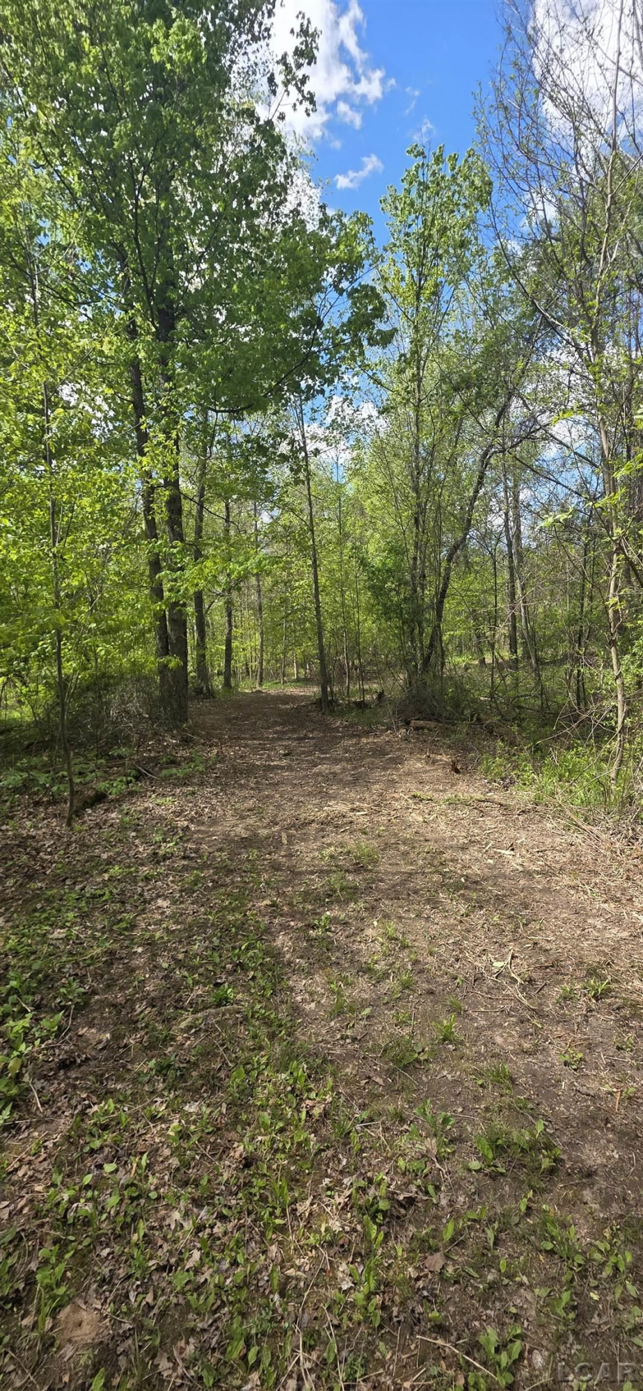 15252 27 Mile Road, Albion, MI 49224 — Photo 21
