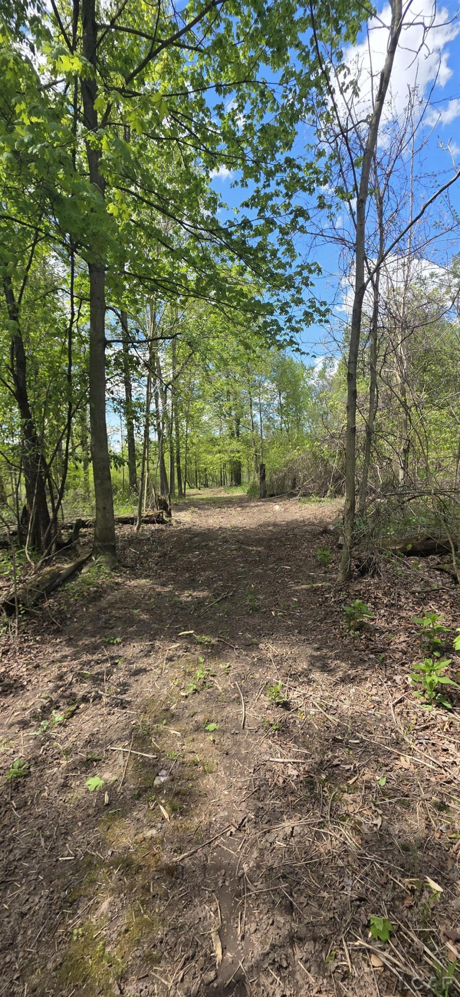 15252 27 Mile Road, Albion, MI 49224 — Photo 22