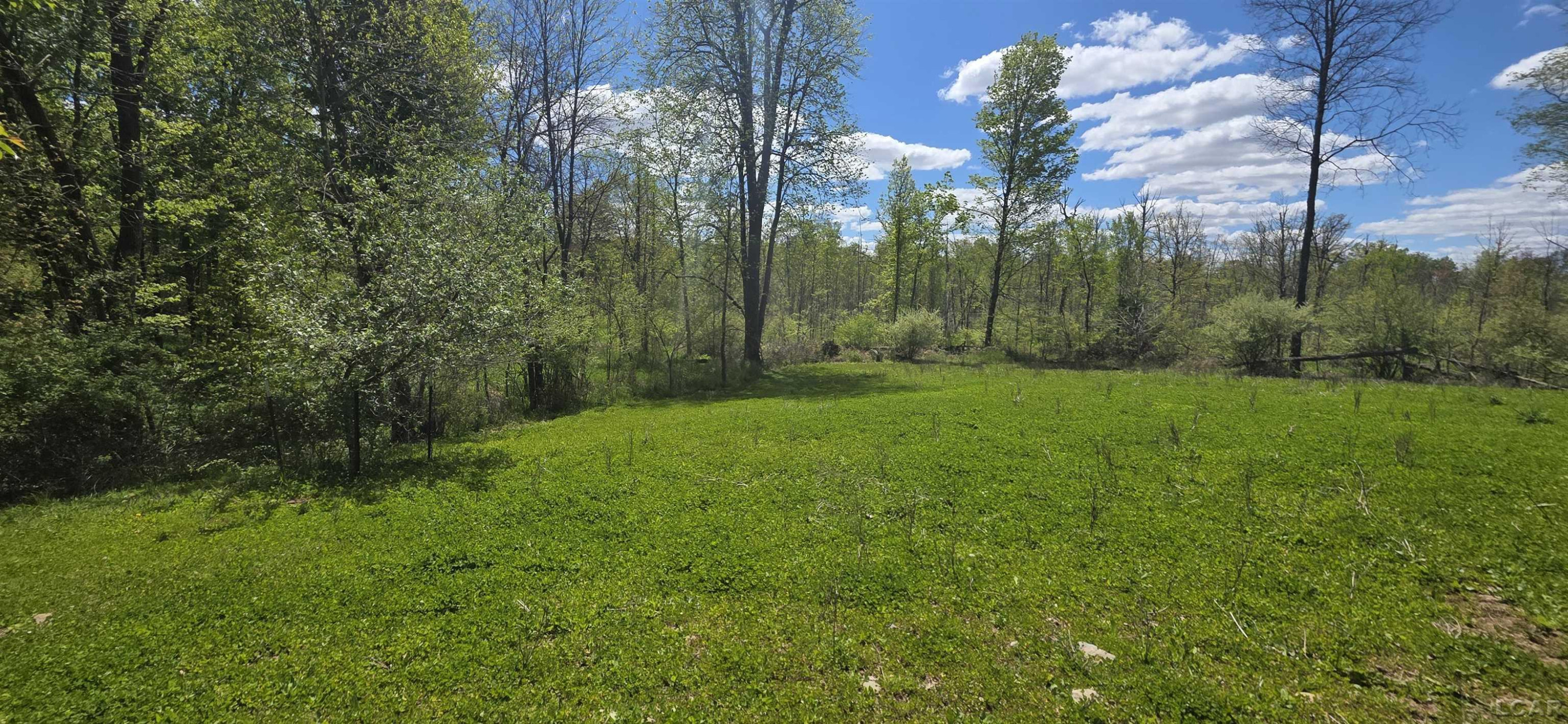 15252 27 Mile Road, Albion, MI 49224 — Photo 23
