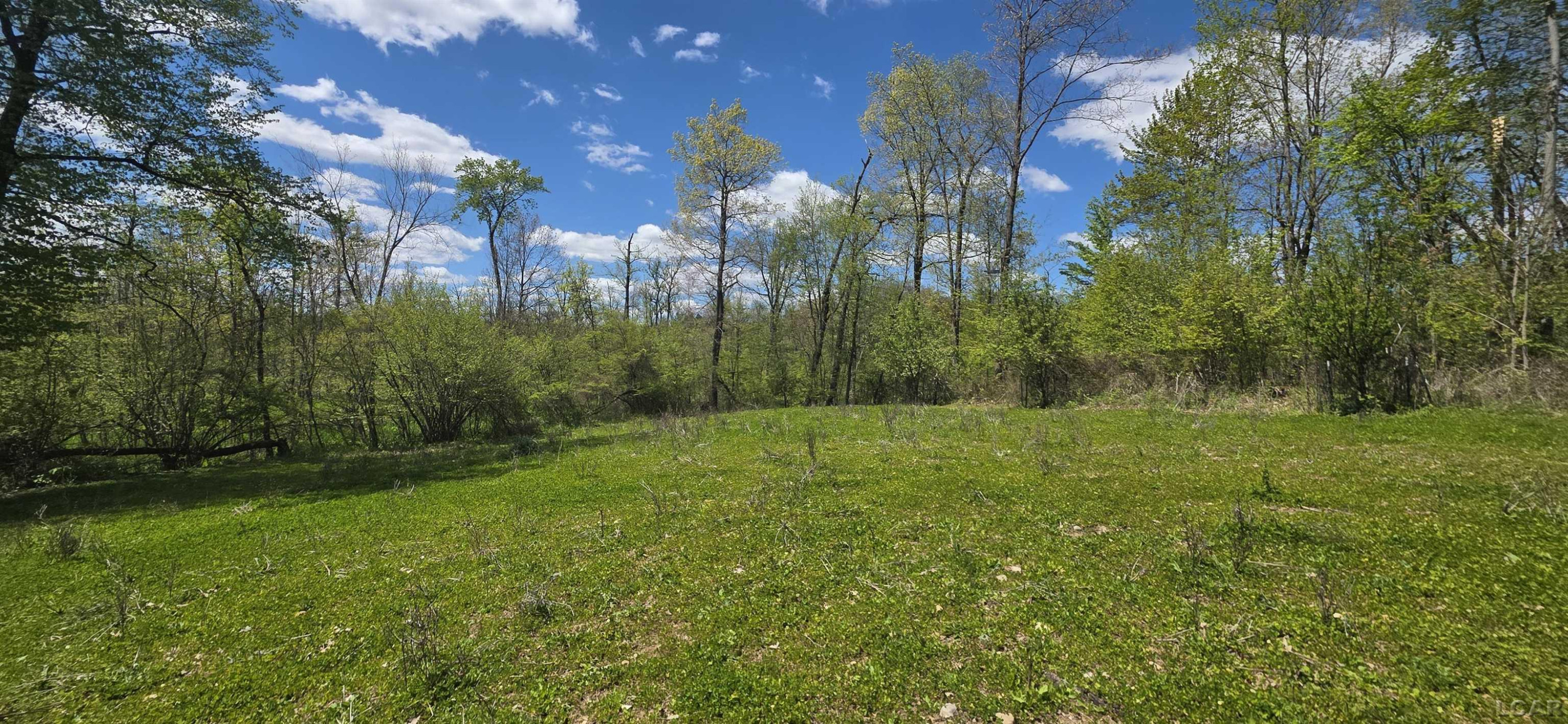 15252 27 Mile Road, Albion, MI 49224 — Photo 24