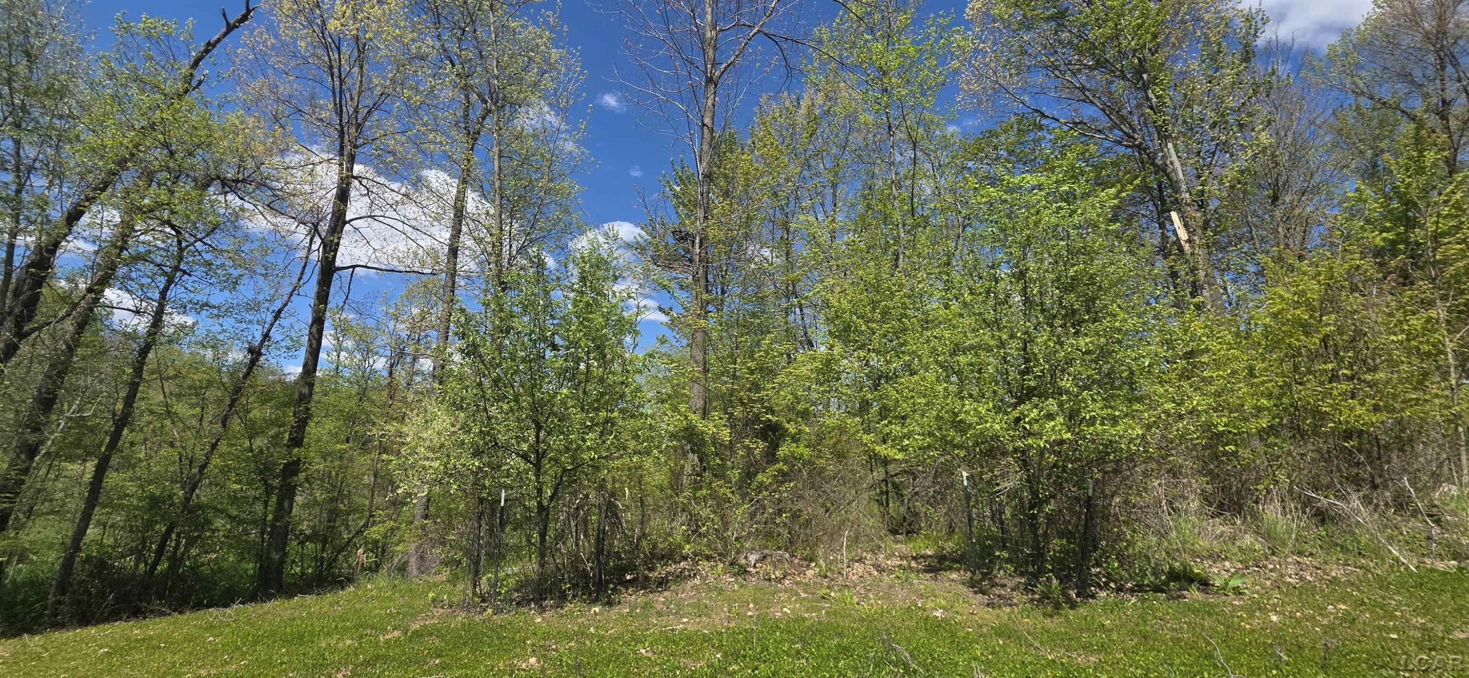 15252 27 Mile Road, Albion, MI 49224 — Photo 25