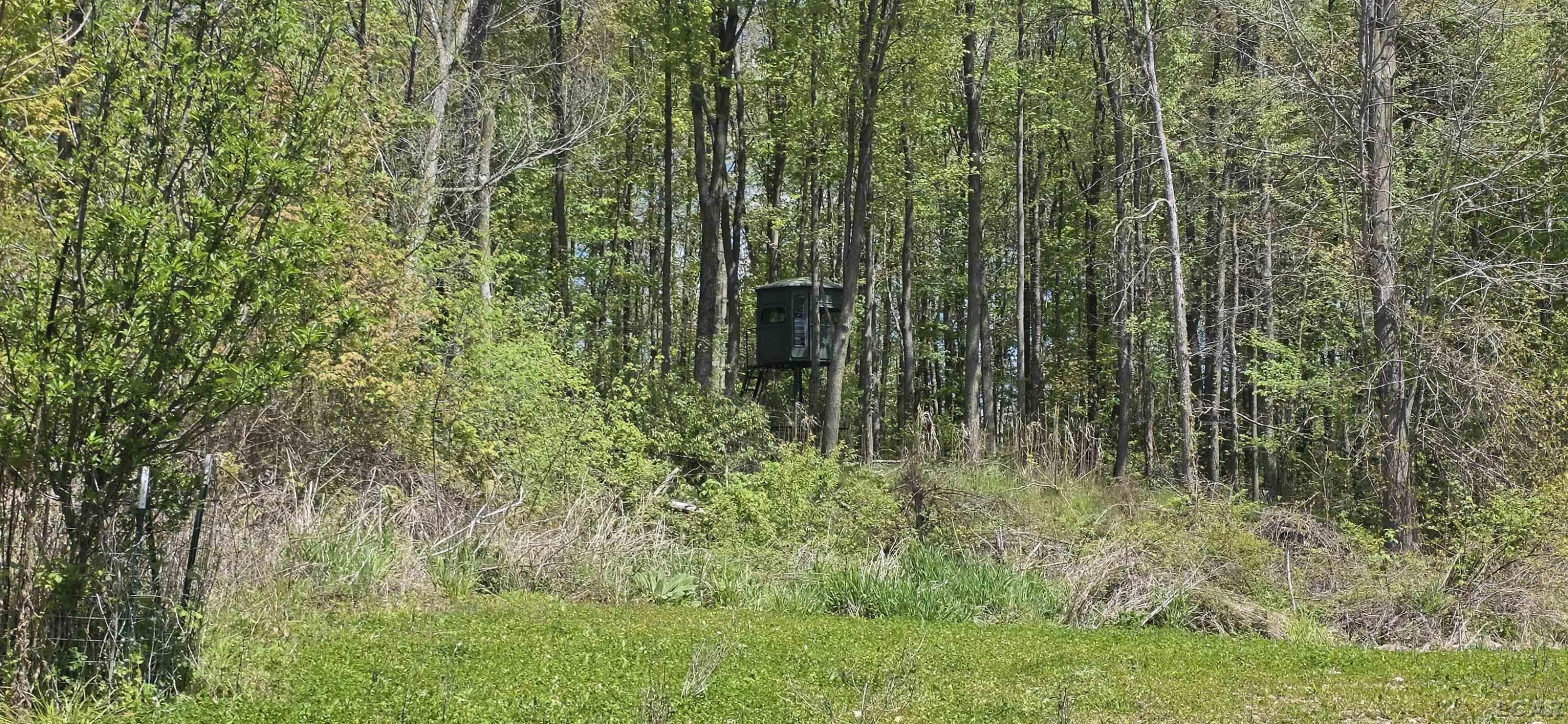 15252 27 Mile Road, Albion, MI 49224 — Photo 26