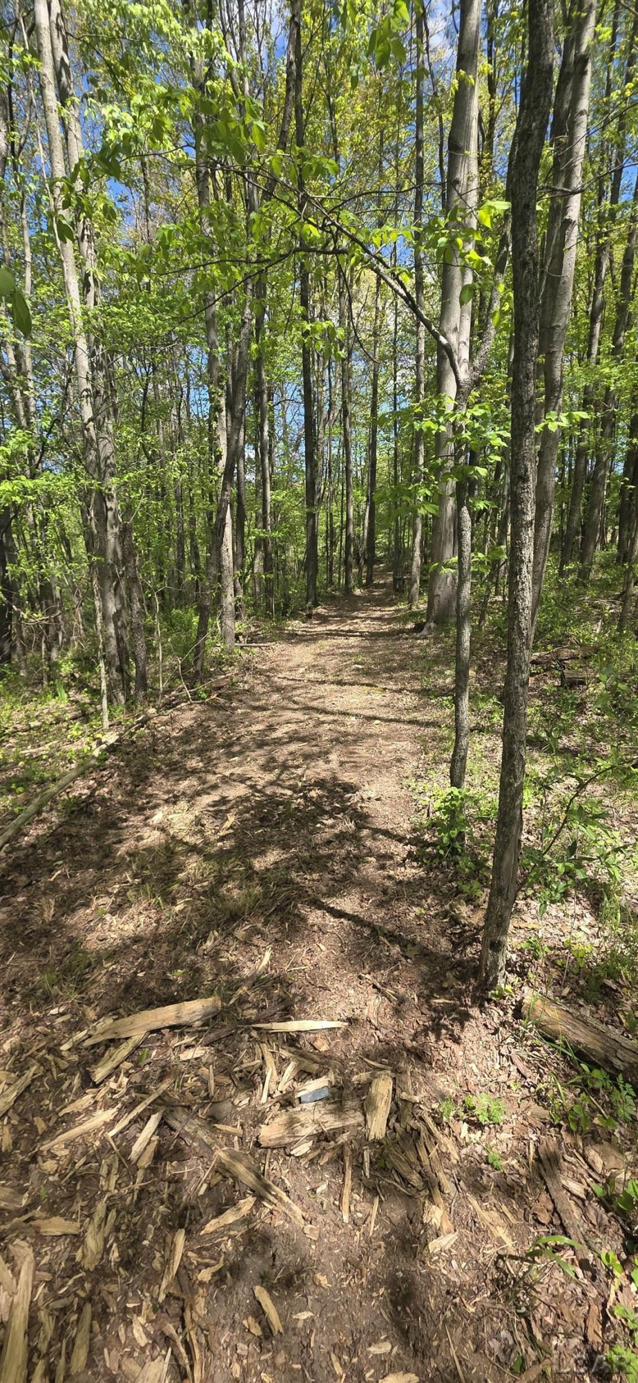 15252 27 Mile Road, Albion, MI 49224 — Photo 28