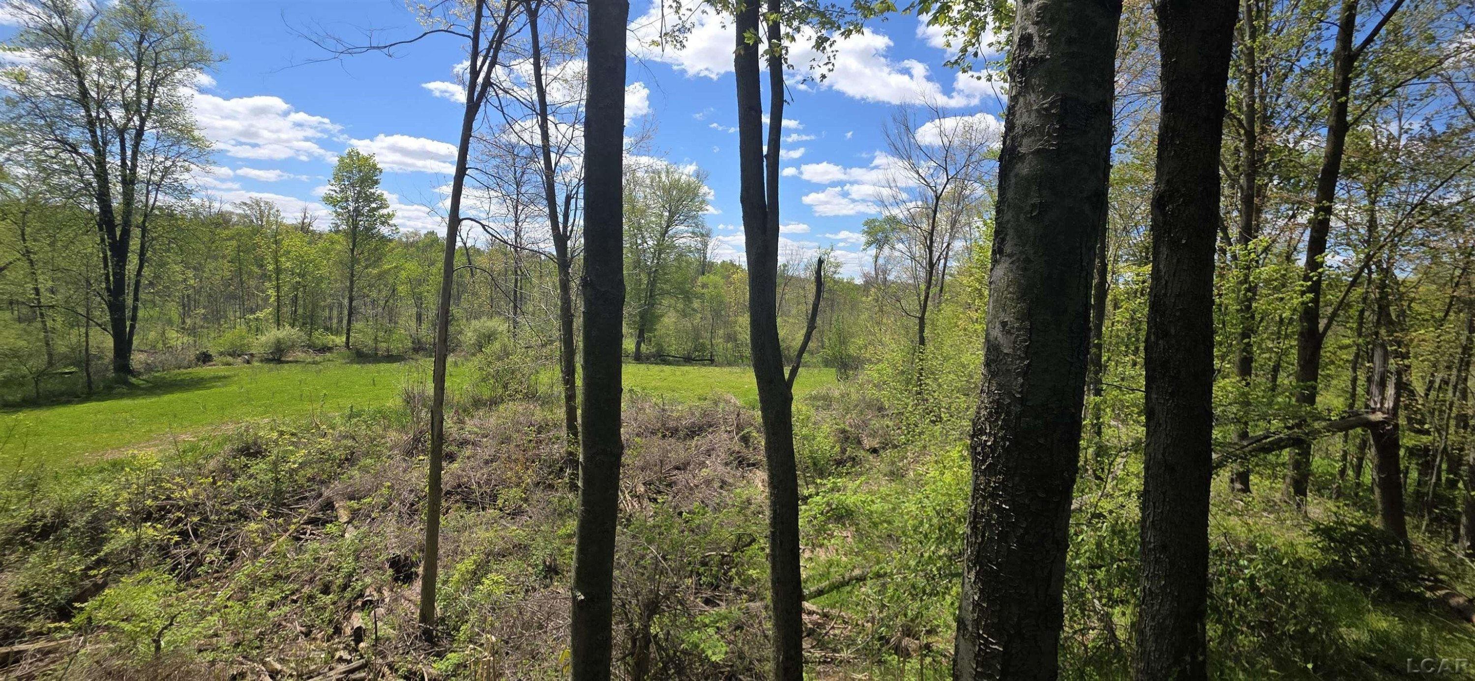 15252 27 Mile Road, Albion, MI 49224 — Photo 30