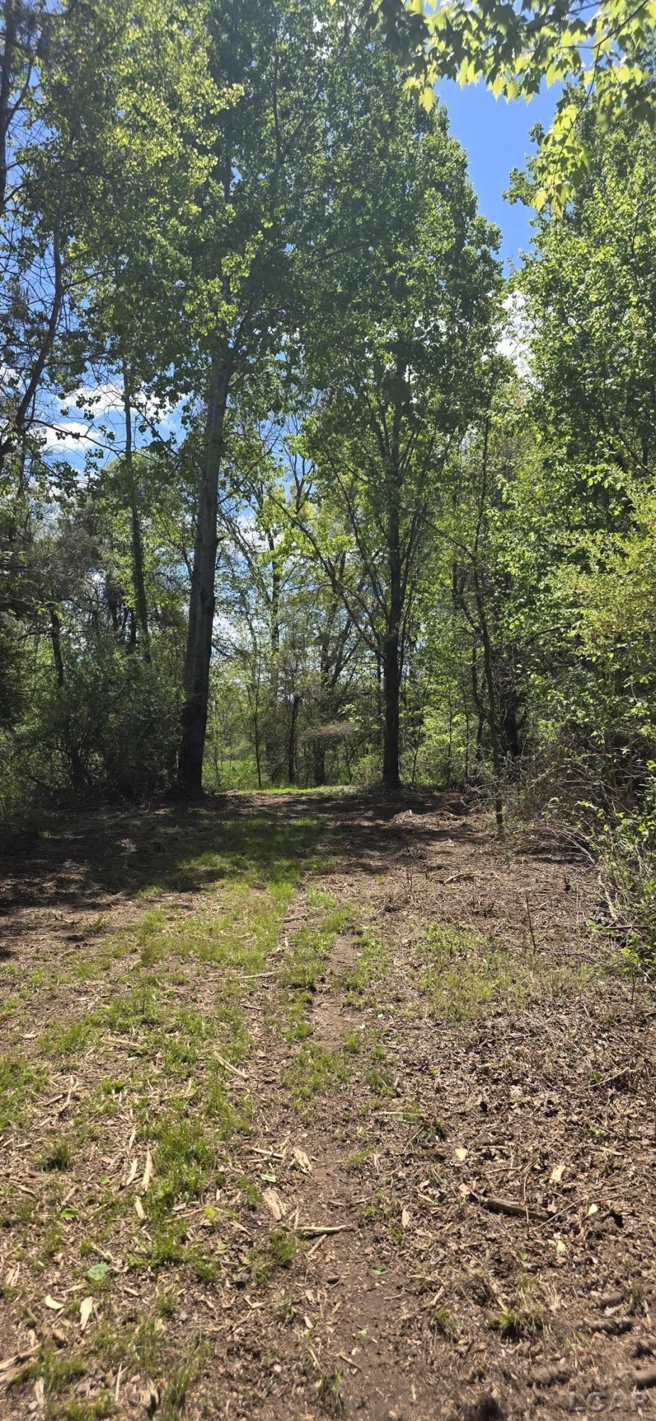 15252 27 Mile Road, Albion, MI 49224 — Photo 32