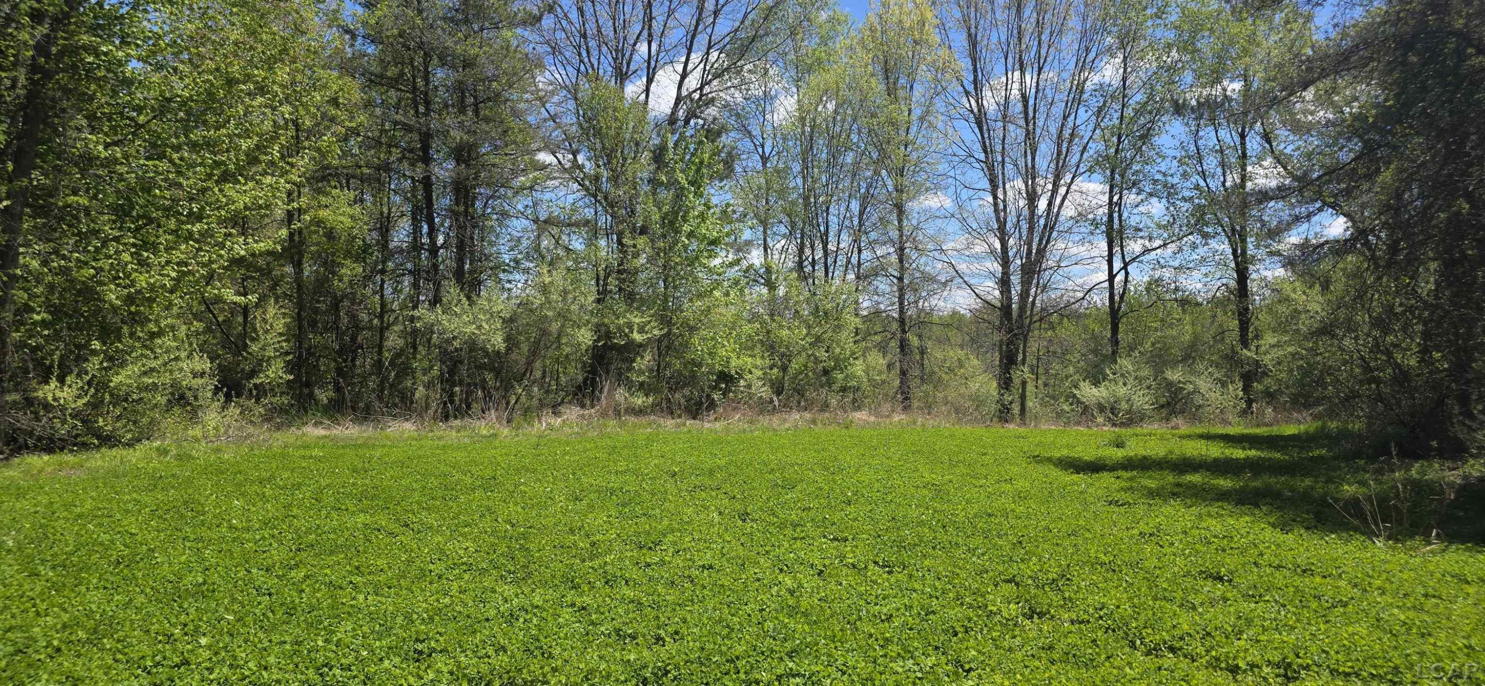 15252 27 Mile Road, Albion, MI 49224 — Photo 33