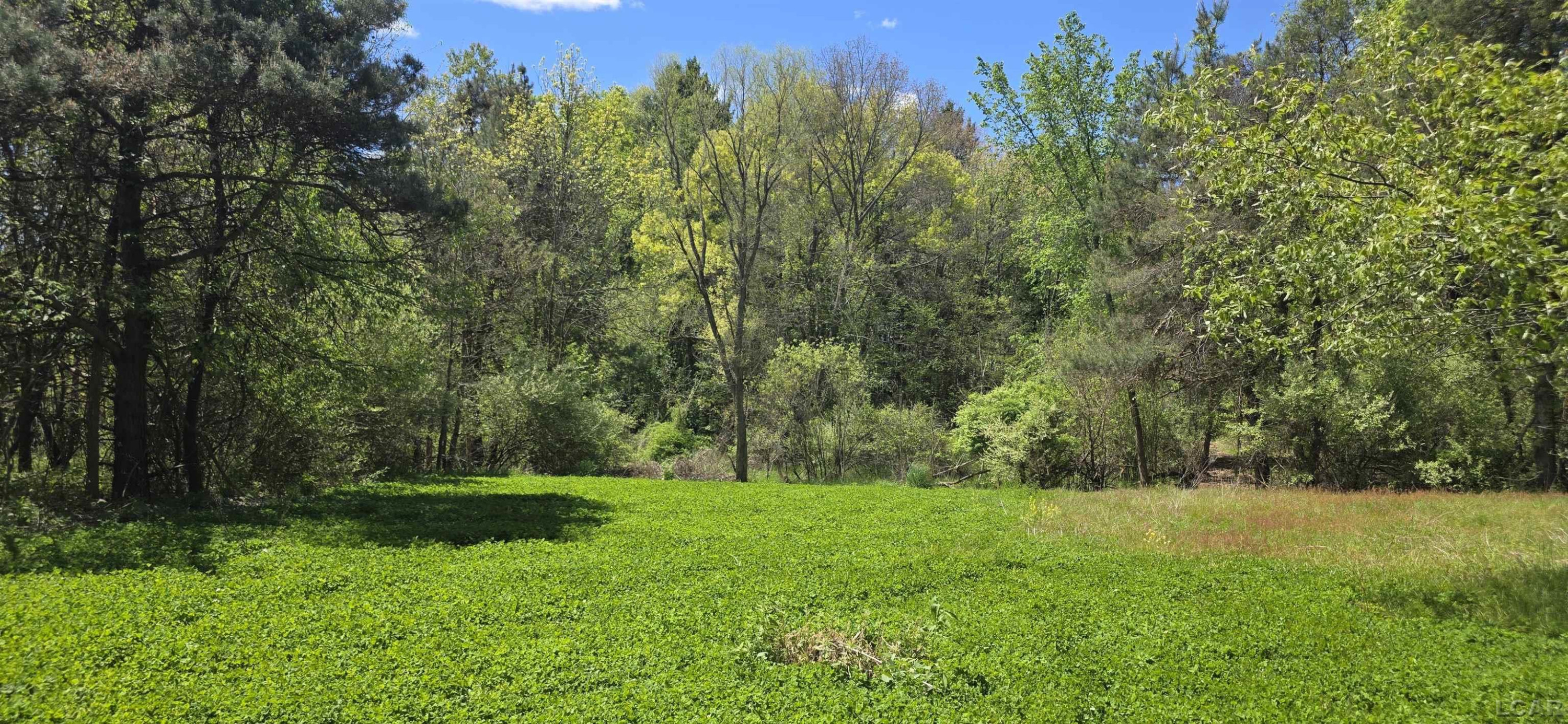 15252 27 Mile Road, Albion, MI 49224 — Photo 34