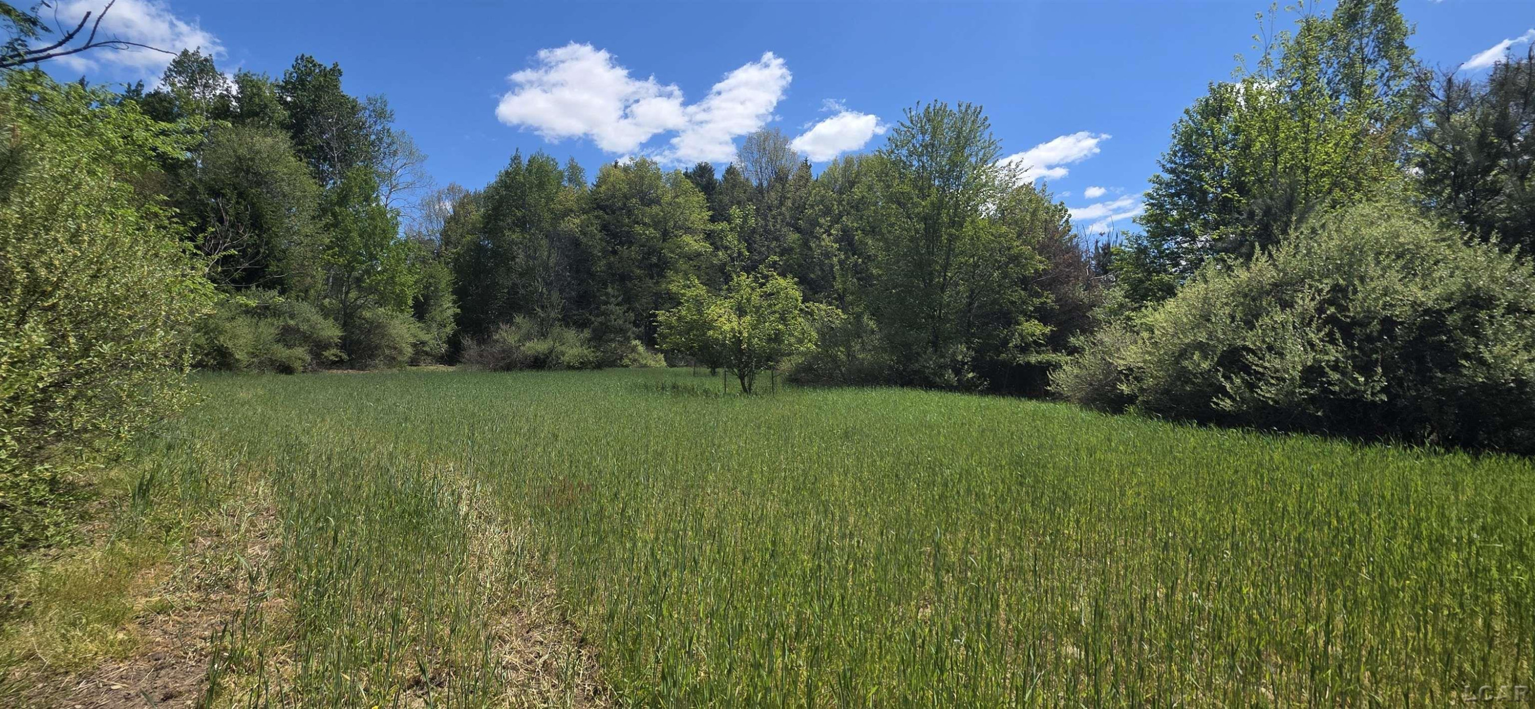 15252 27 Mile Road, Albion, MI 49224 — Photo 39