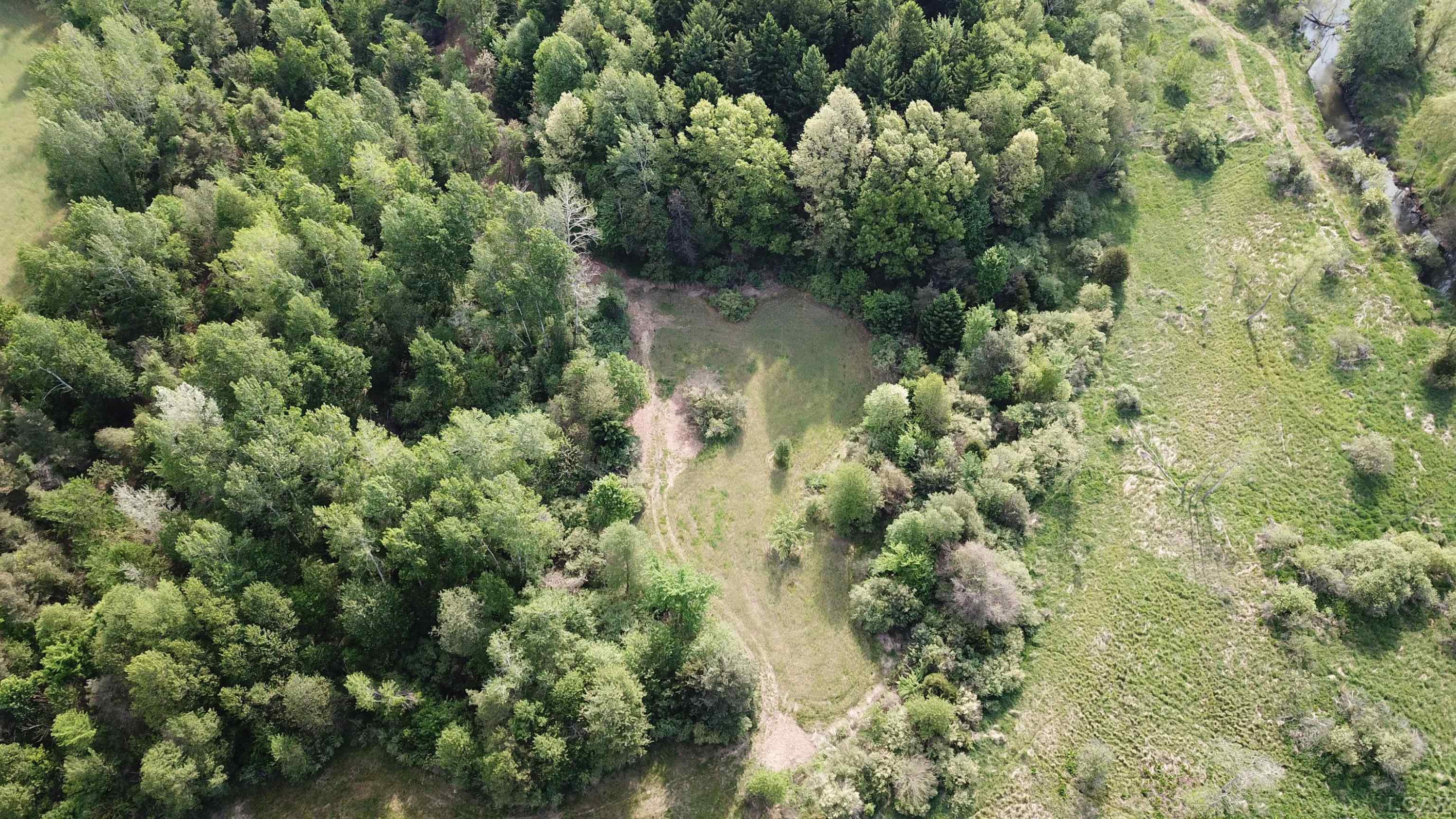 15252 27 Mile Road, Albion, MI 49224 — Photo 44