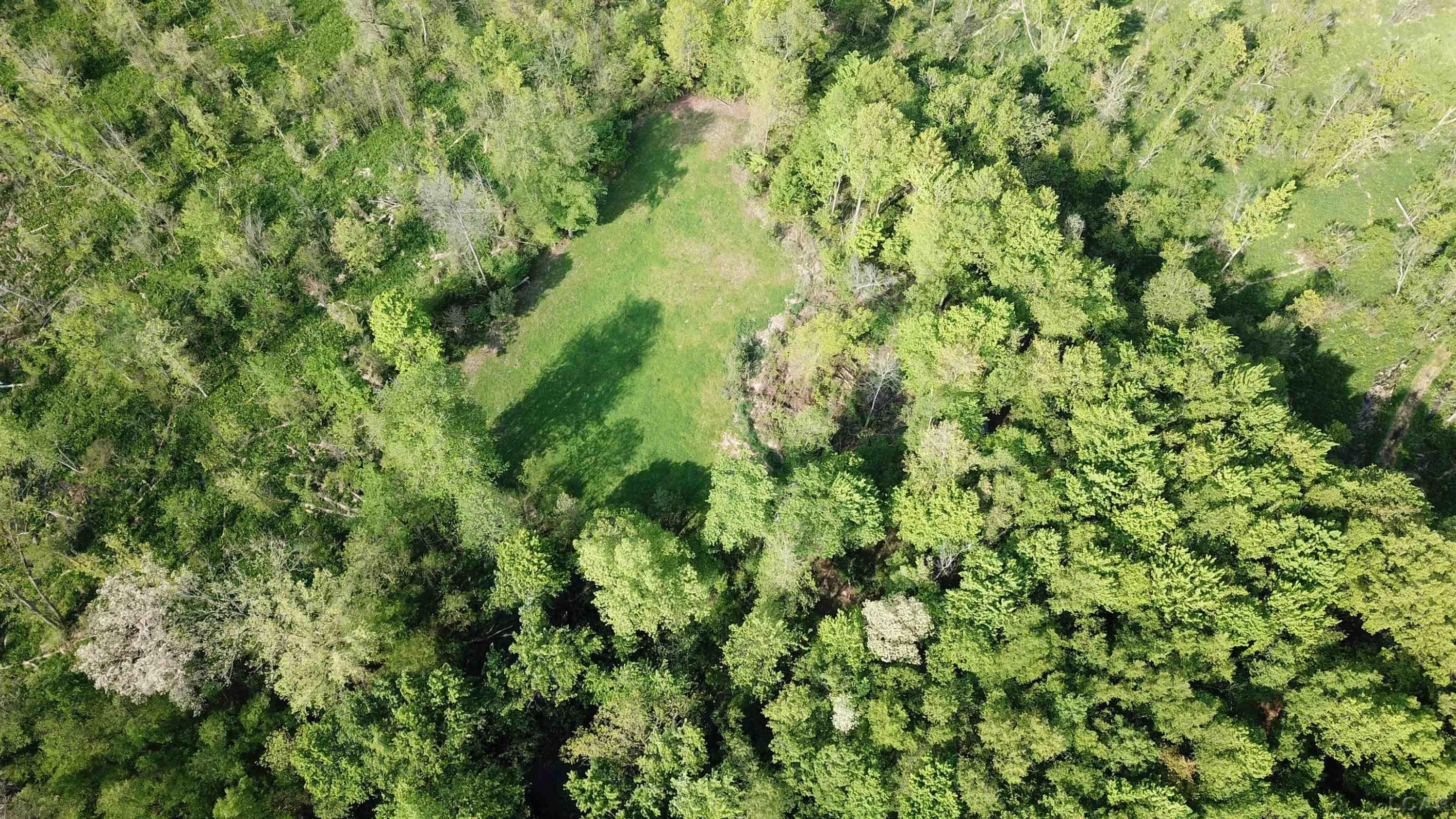 15252 27 Mile Road, Albion, MI 49224 — Photo 45