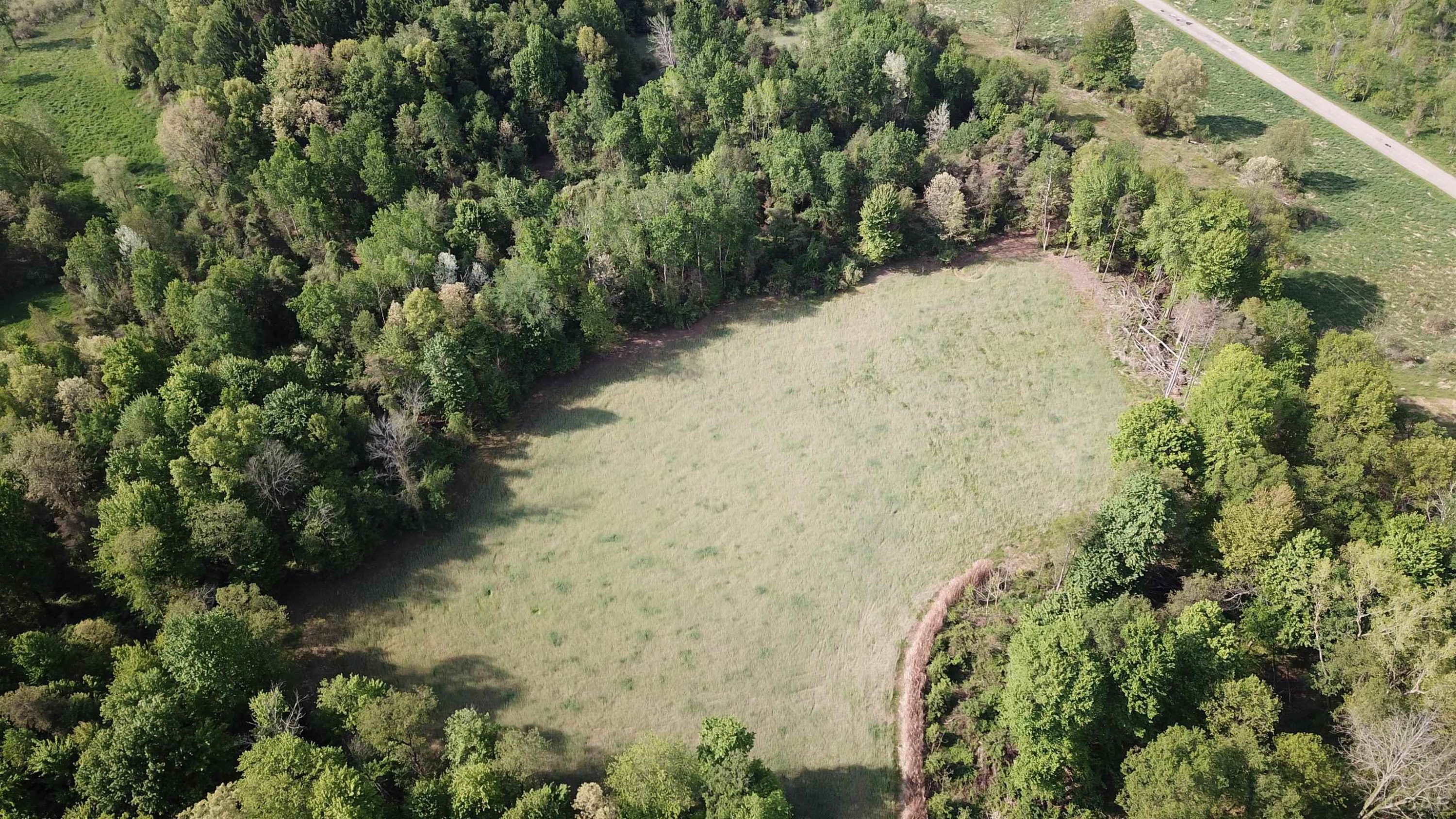 15252 27 Mile Road, Albion, MI 49224 — Photo 46