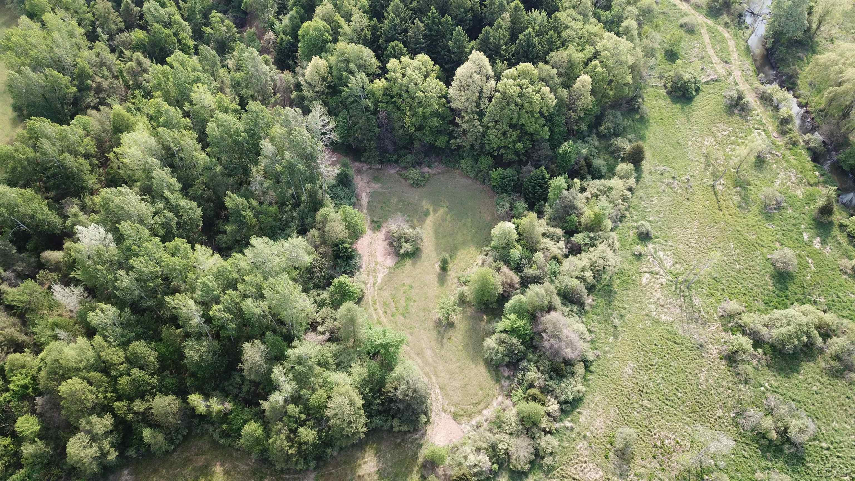15252 27 Mile Road, Albion, MI 49224 — Photo 47