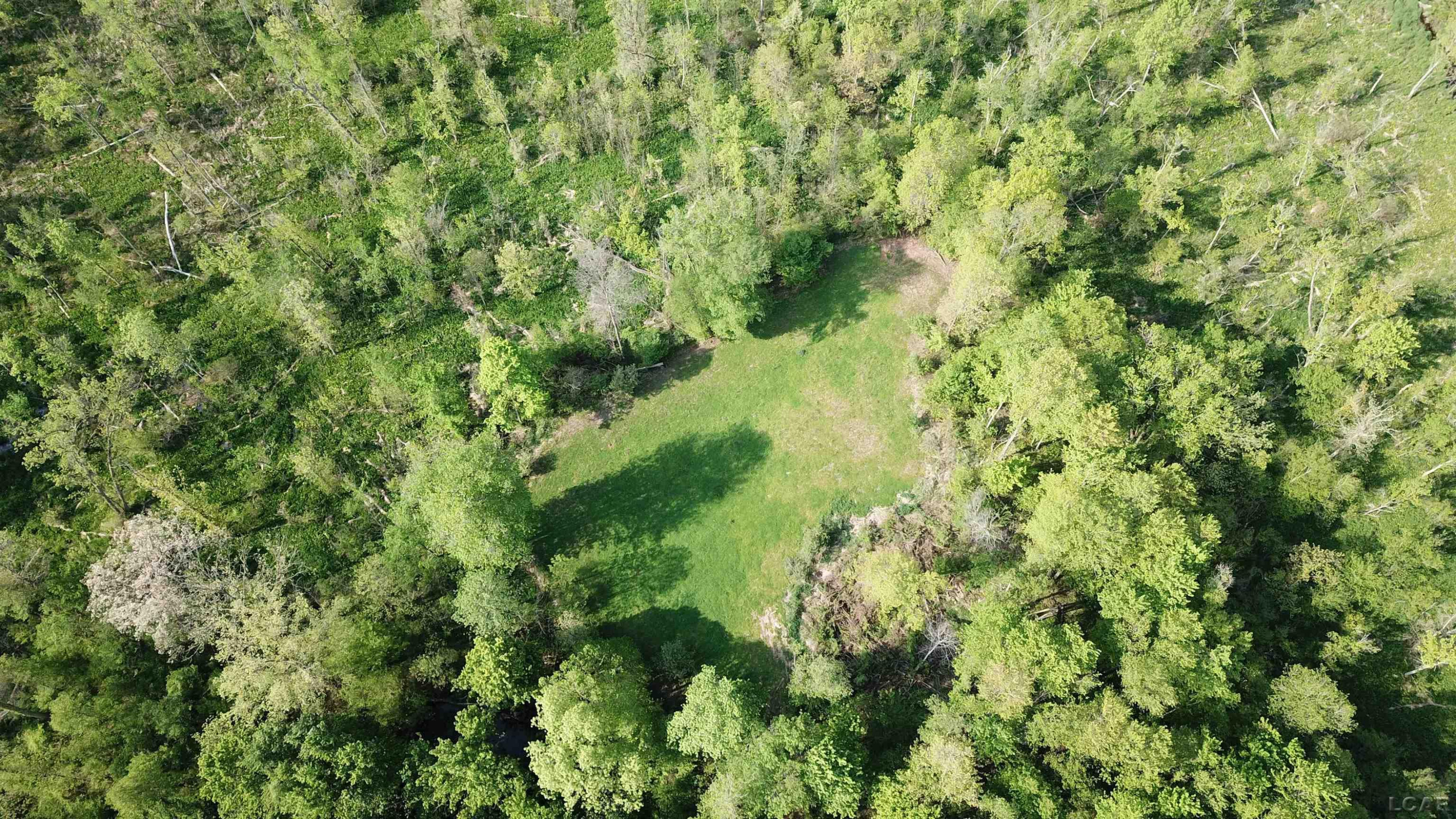15252 27 Mile Road, Albion, MI 49224 — Photo 50