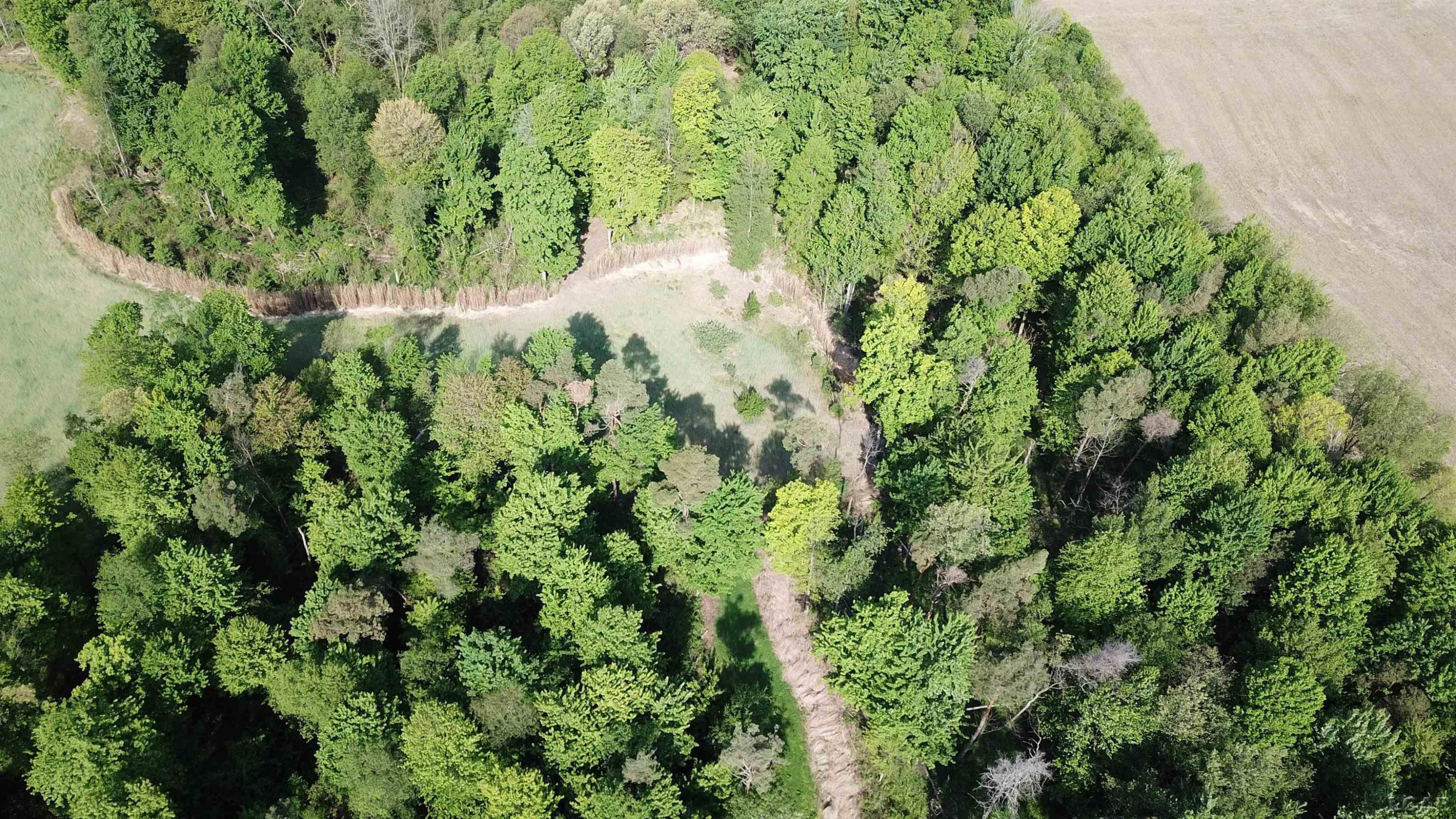15252 27 Mile Road, Albion, MI 49224 — Photo 52