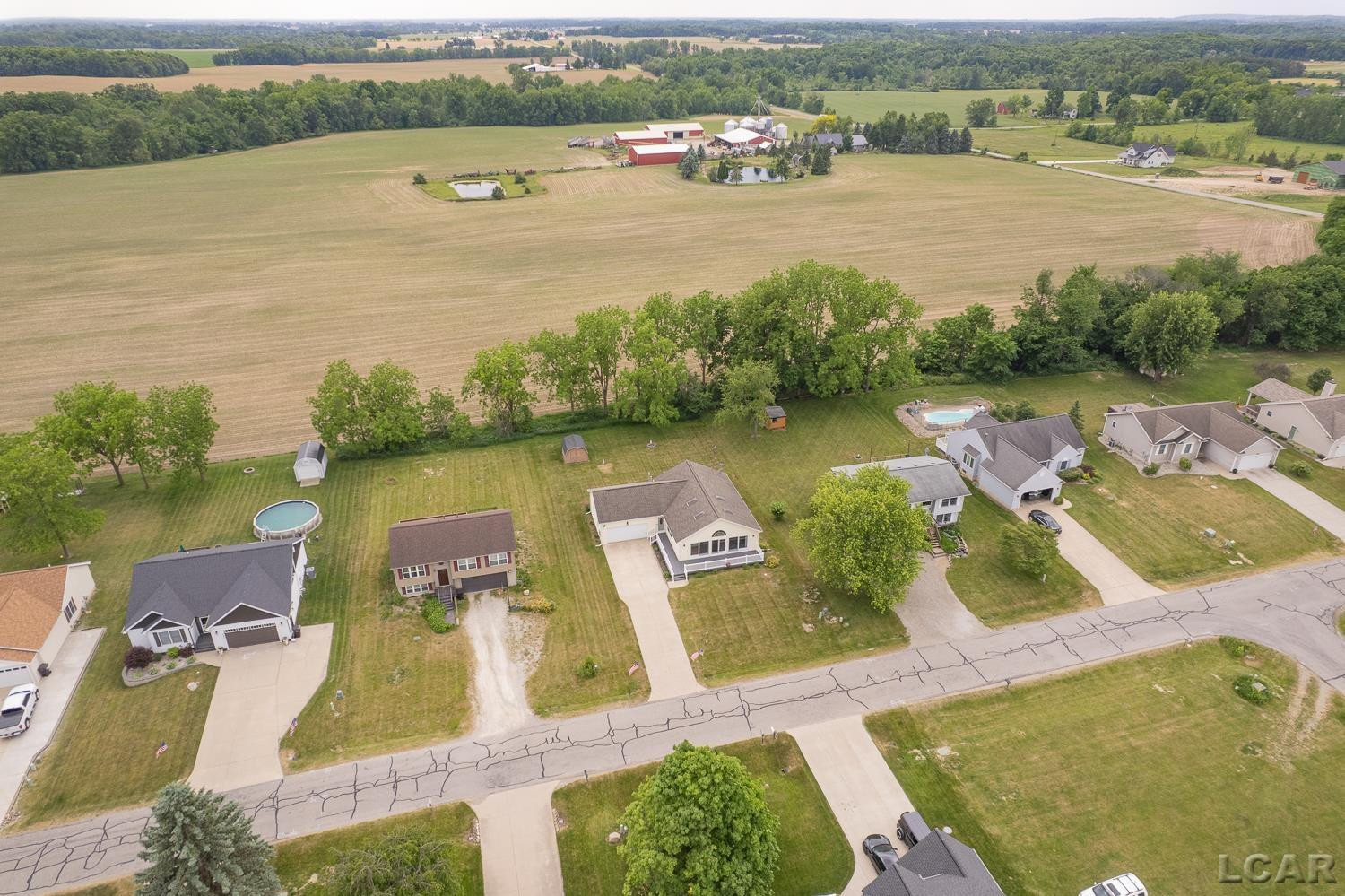 7595 SHERLOCK Drive, Onsted, MI 49265 — Photo 6