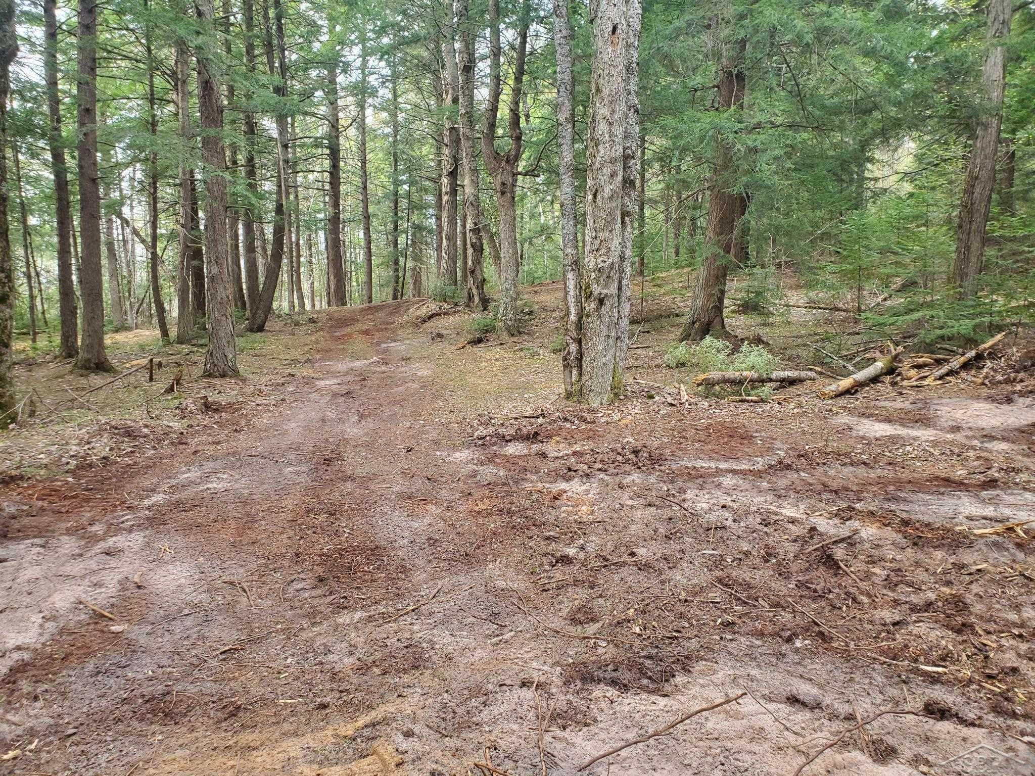 Old Plank Road, MI 49895 — front exterior